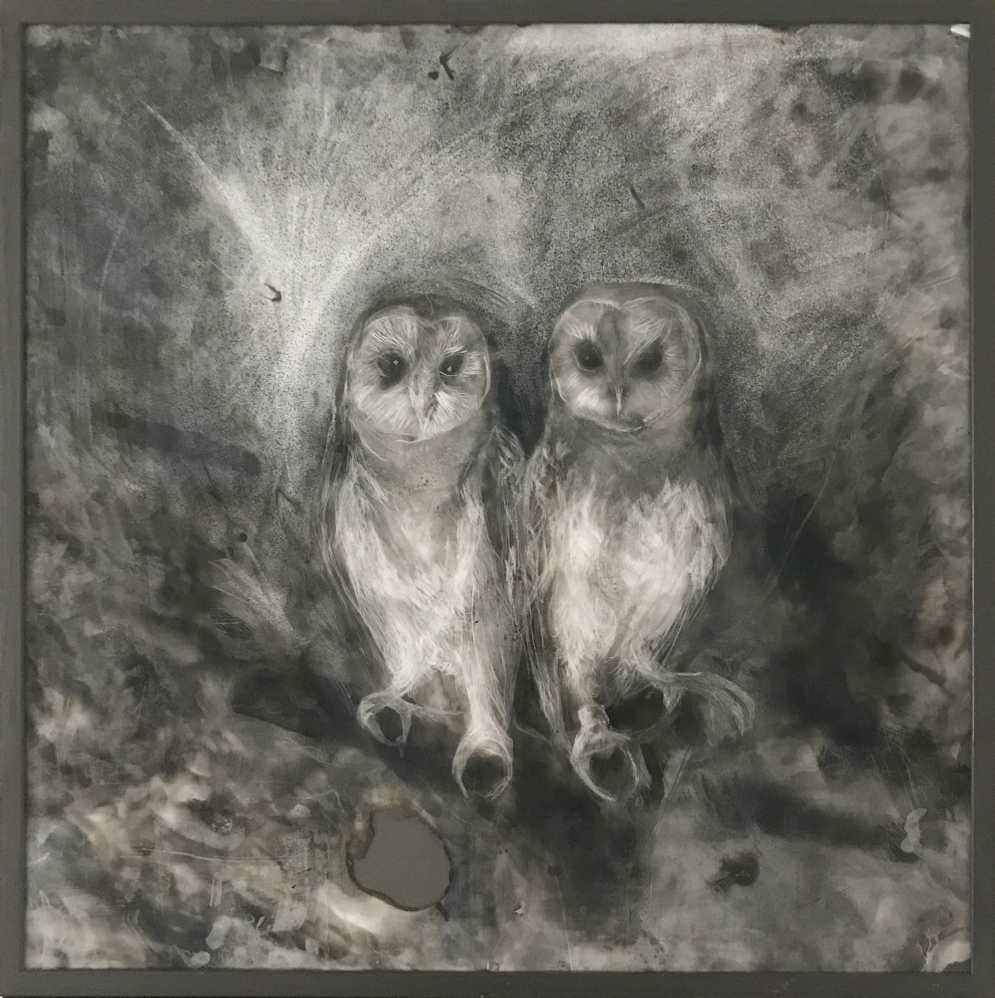 Maria Pavledis, Owl Sanctuary, 2020