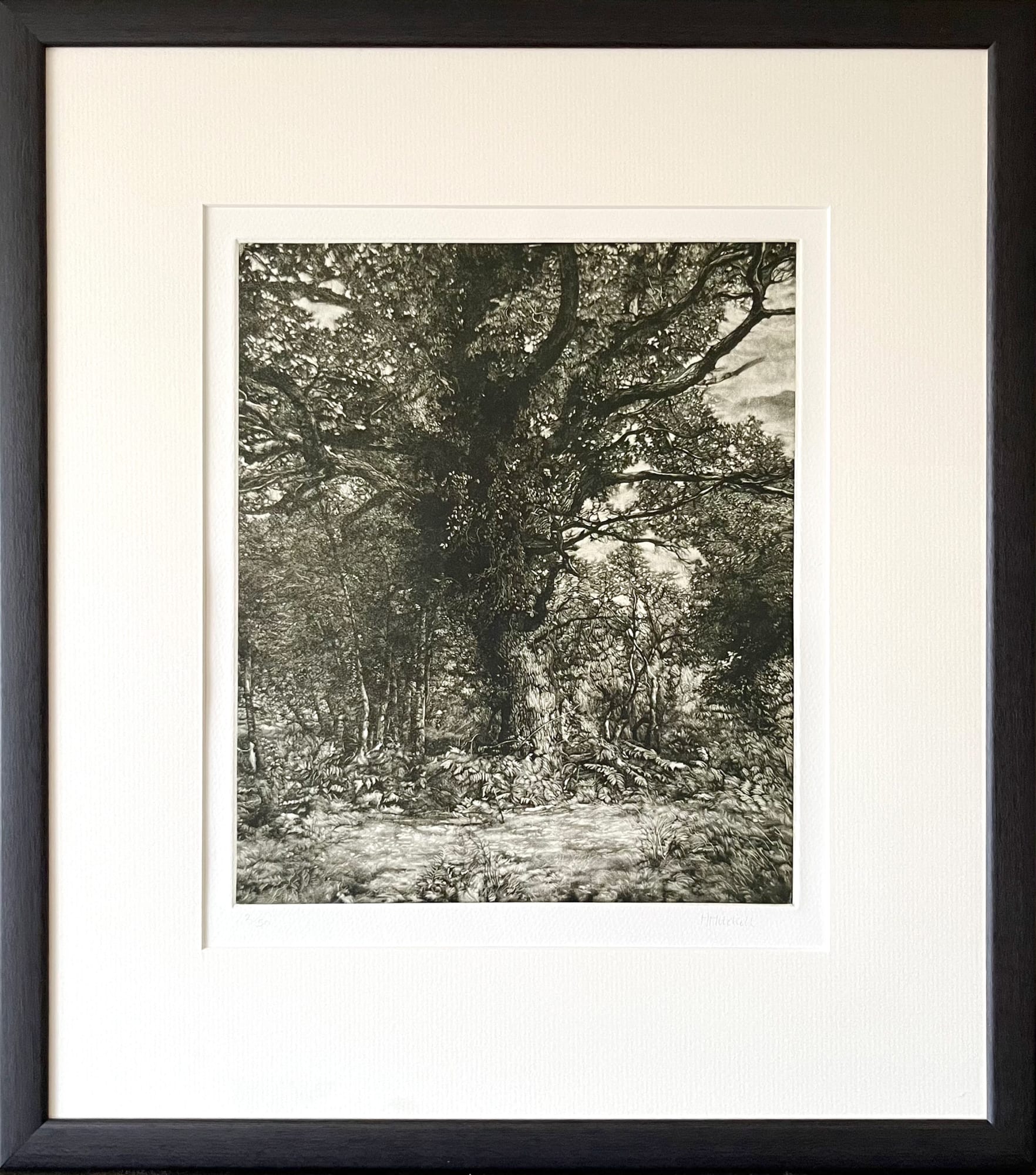 Martin Mitchell, Autumn Oak (framed), 2022