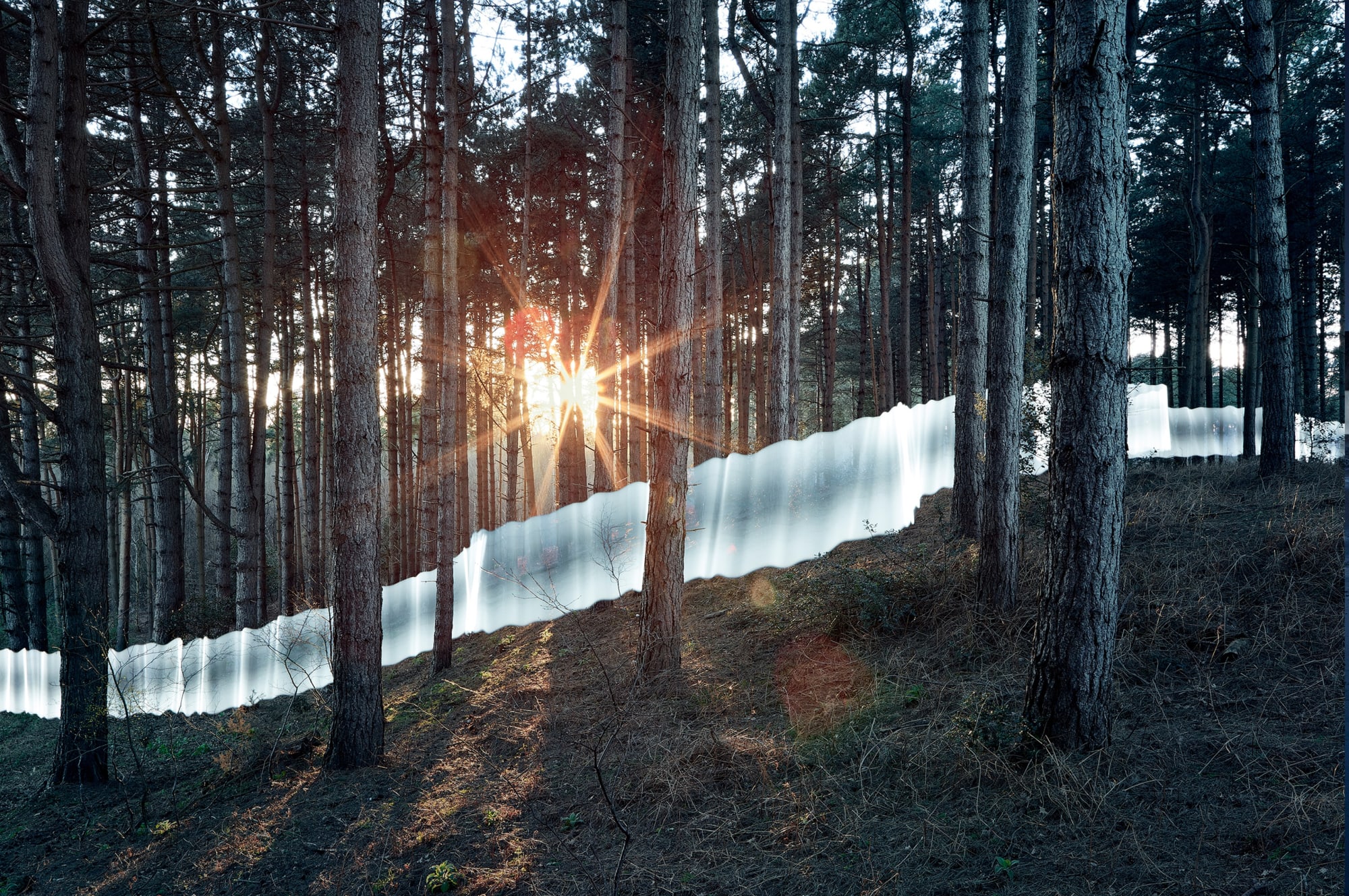 Ed Lee, Legend Number 7 (large format), 2022