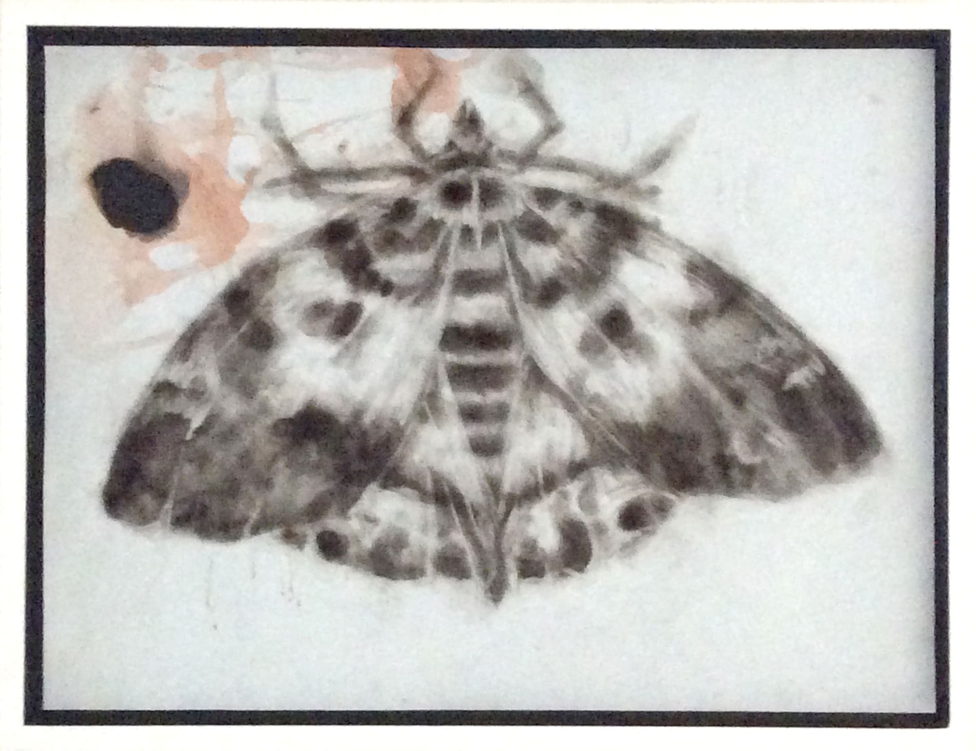 Maria Pavledis, Blue Moth (Original Smoke Drawing), 2021