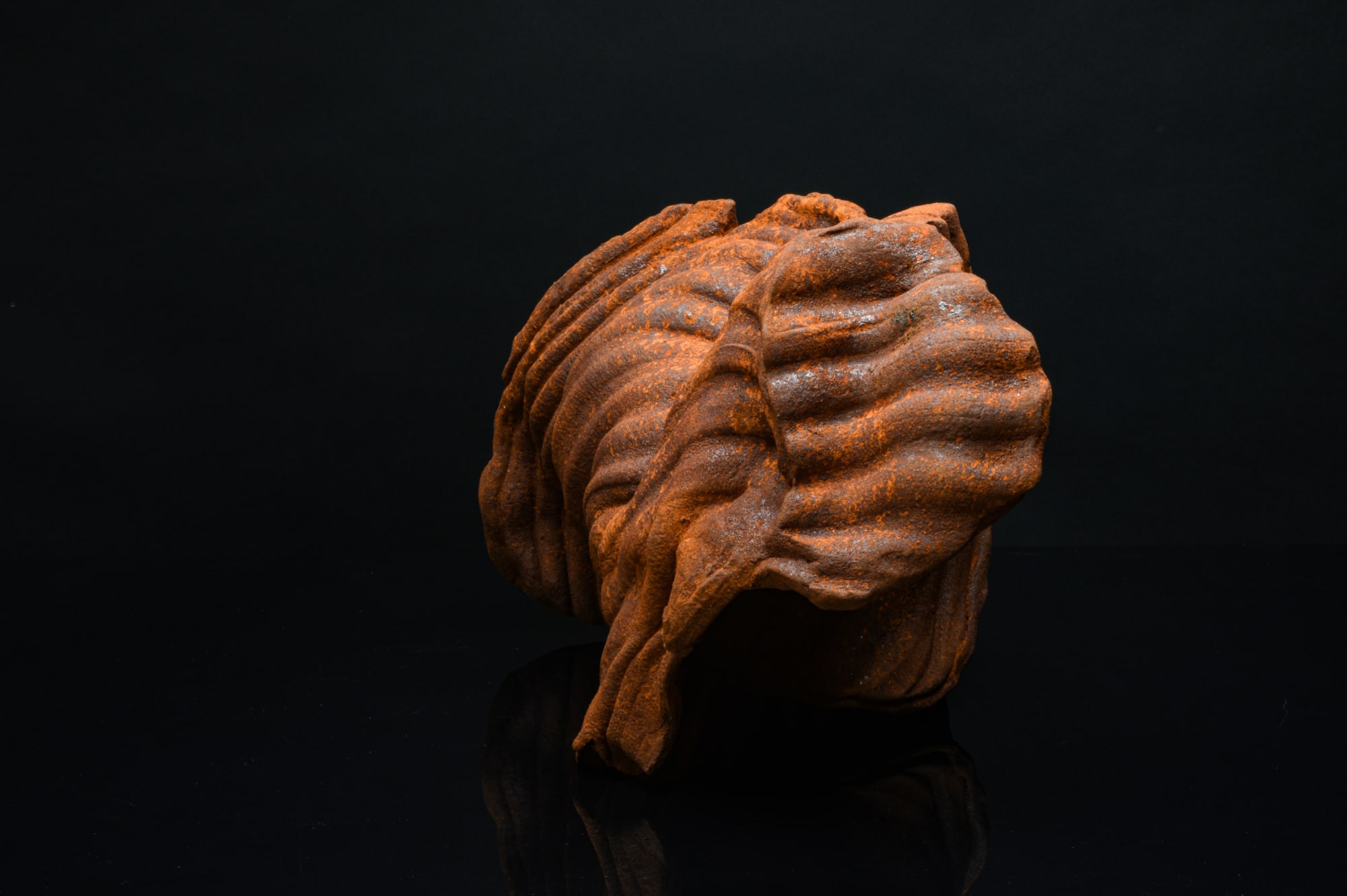 Contorted Item James Evans, Contorted Furrows, 2021 | Contemporary and Country