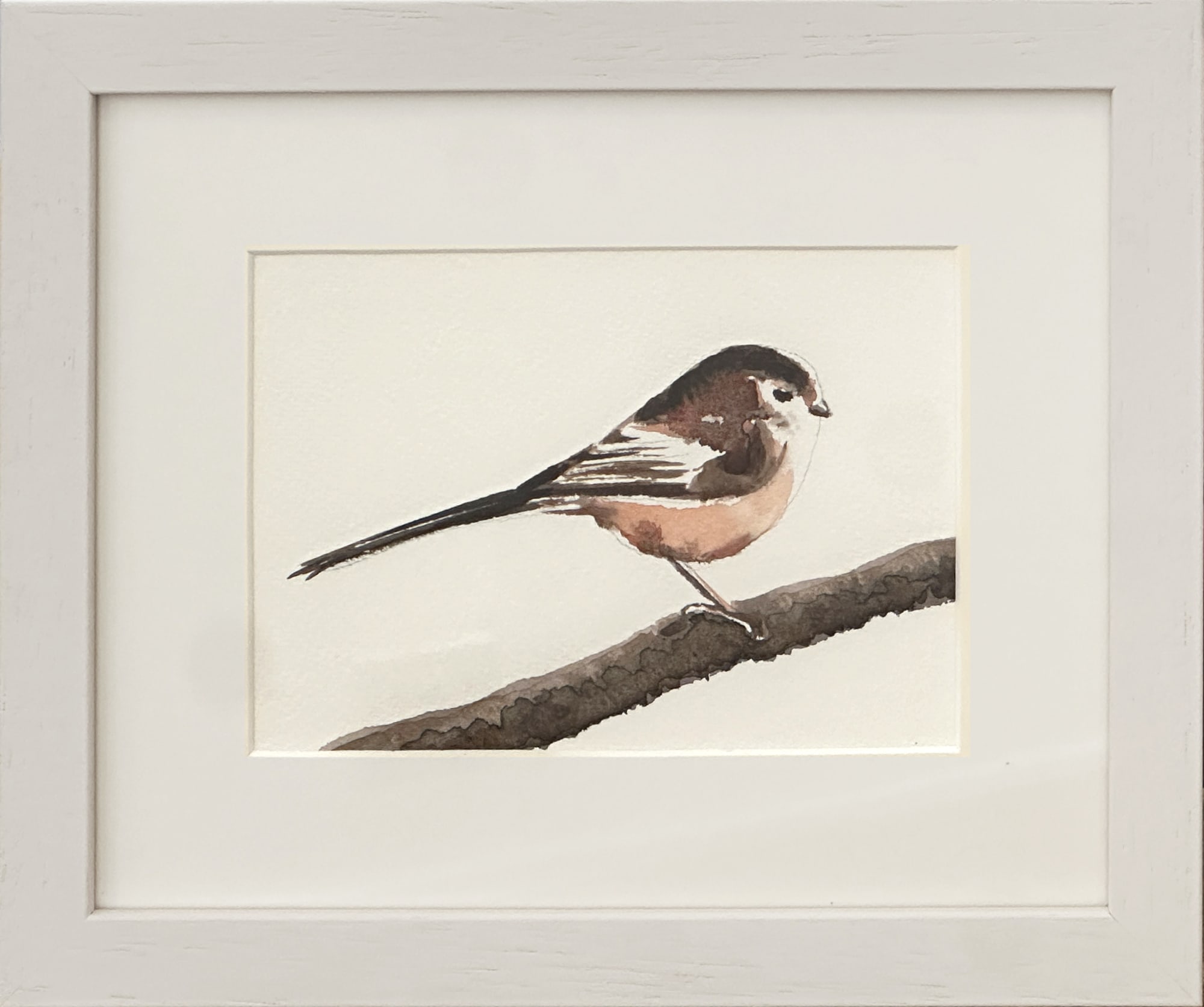 The Winter Collection