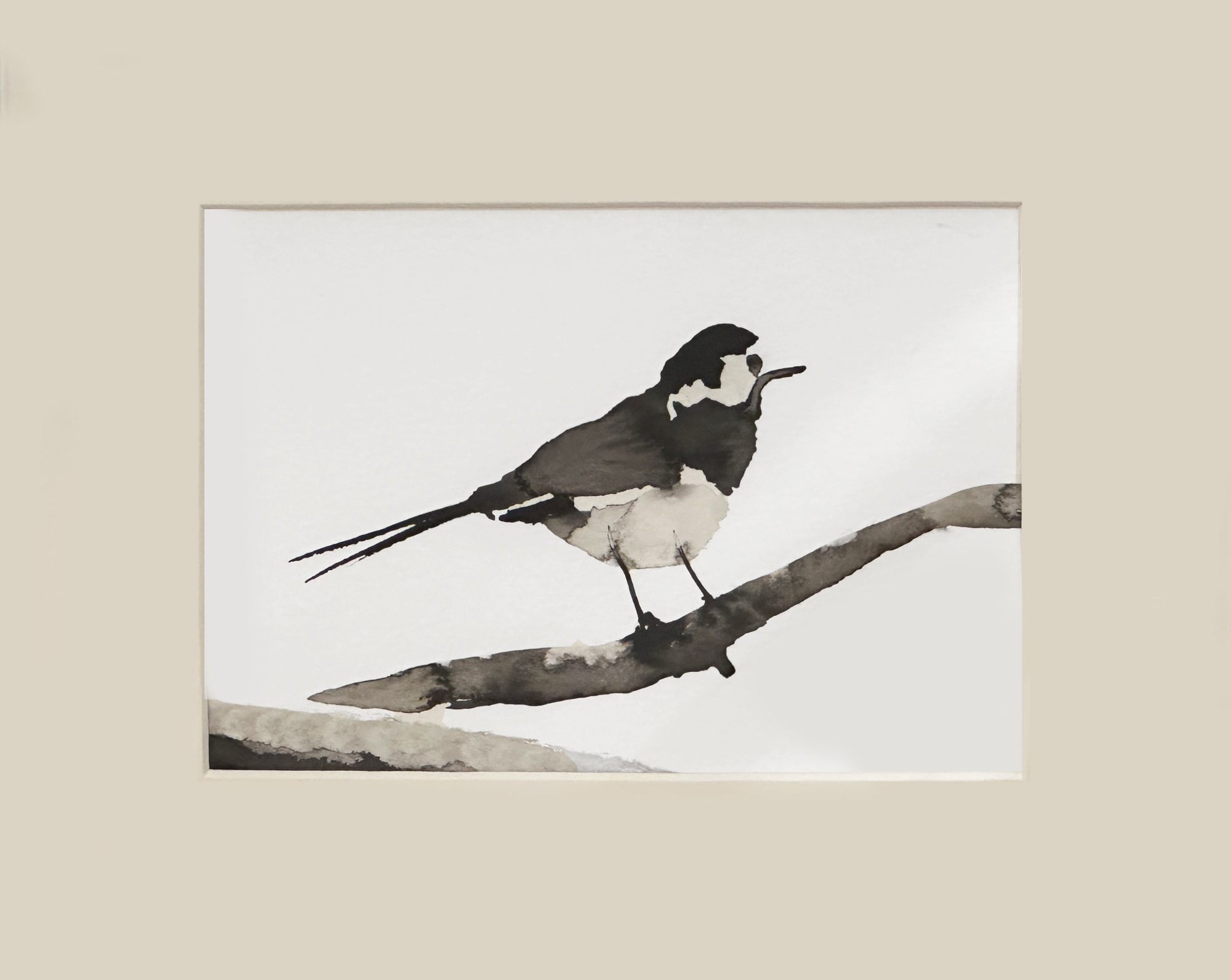 The Winter Collection