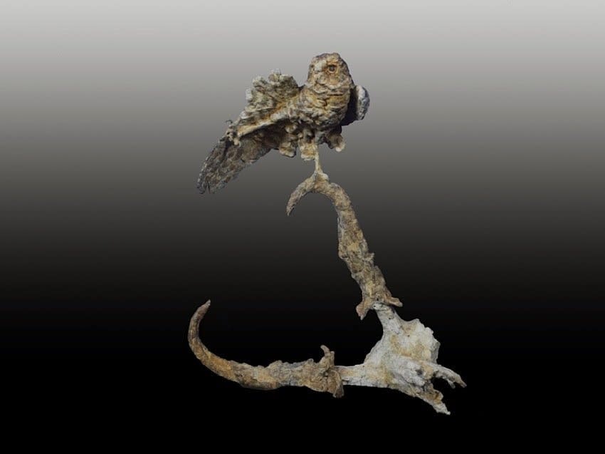 Greg Woodard | Broke