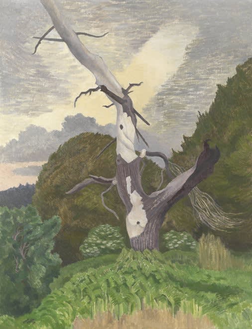 John NASH, CBE, RA (1893-1977) Dead fir tree, Rendlesham Forest, 1969 Oil on canvas 22 x 28 inches / 56 x 71 cm Signed and dated ’69, inscribed with title verso