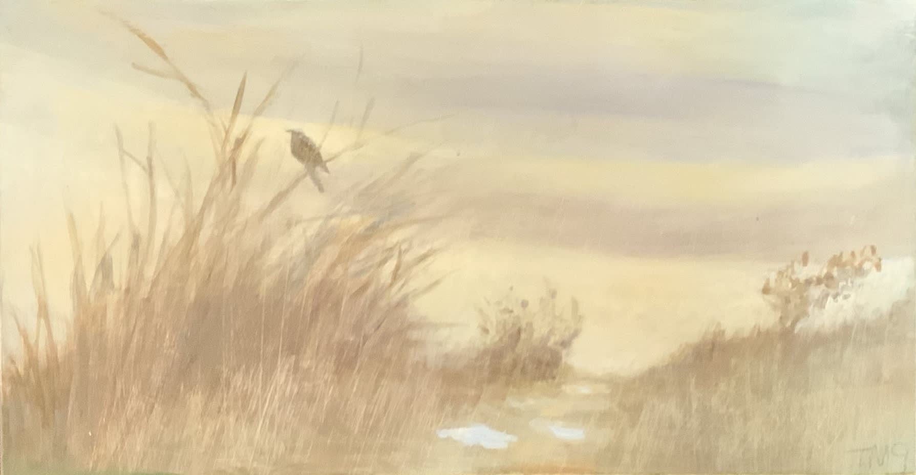 Tessa Newcomb, Evening, 2019