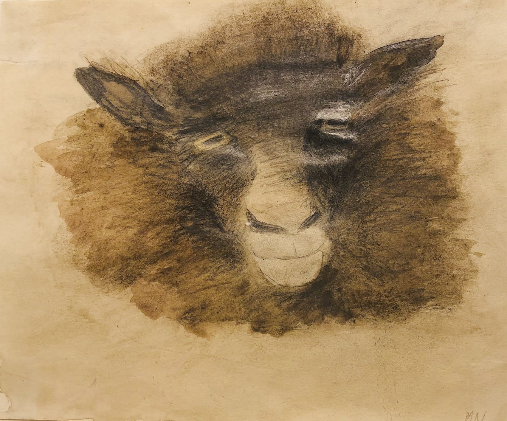 Mary Newcomb, Wensleydale Ram, 1988
