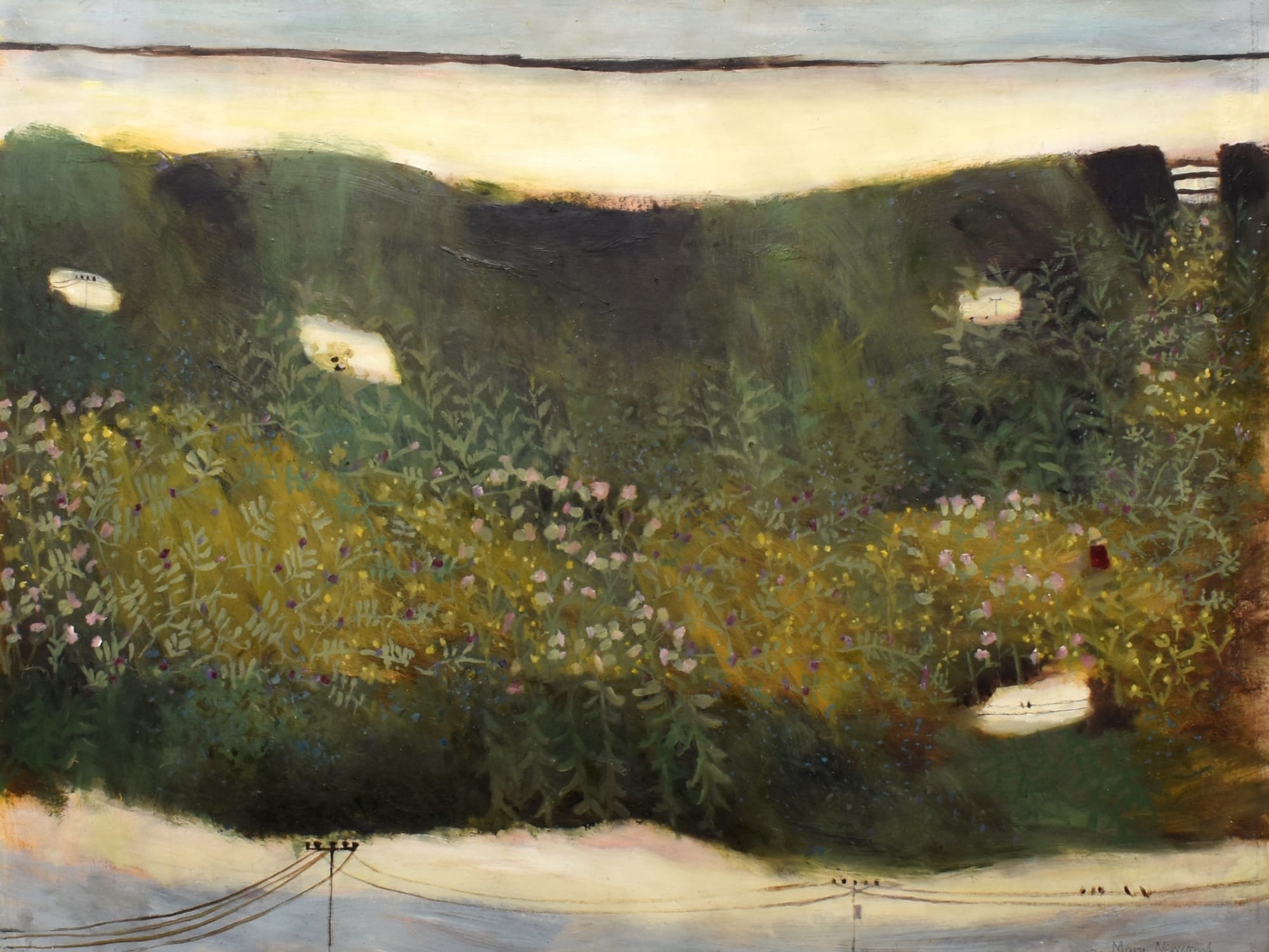 Mary Newcomb