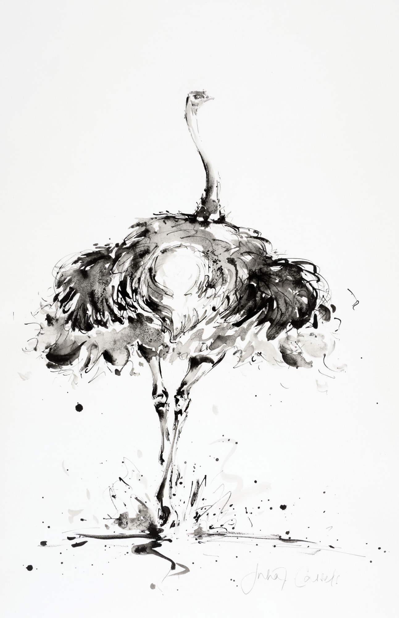 Feathered Steps, £1,150