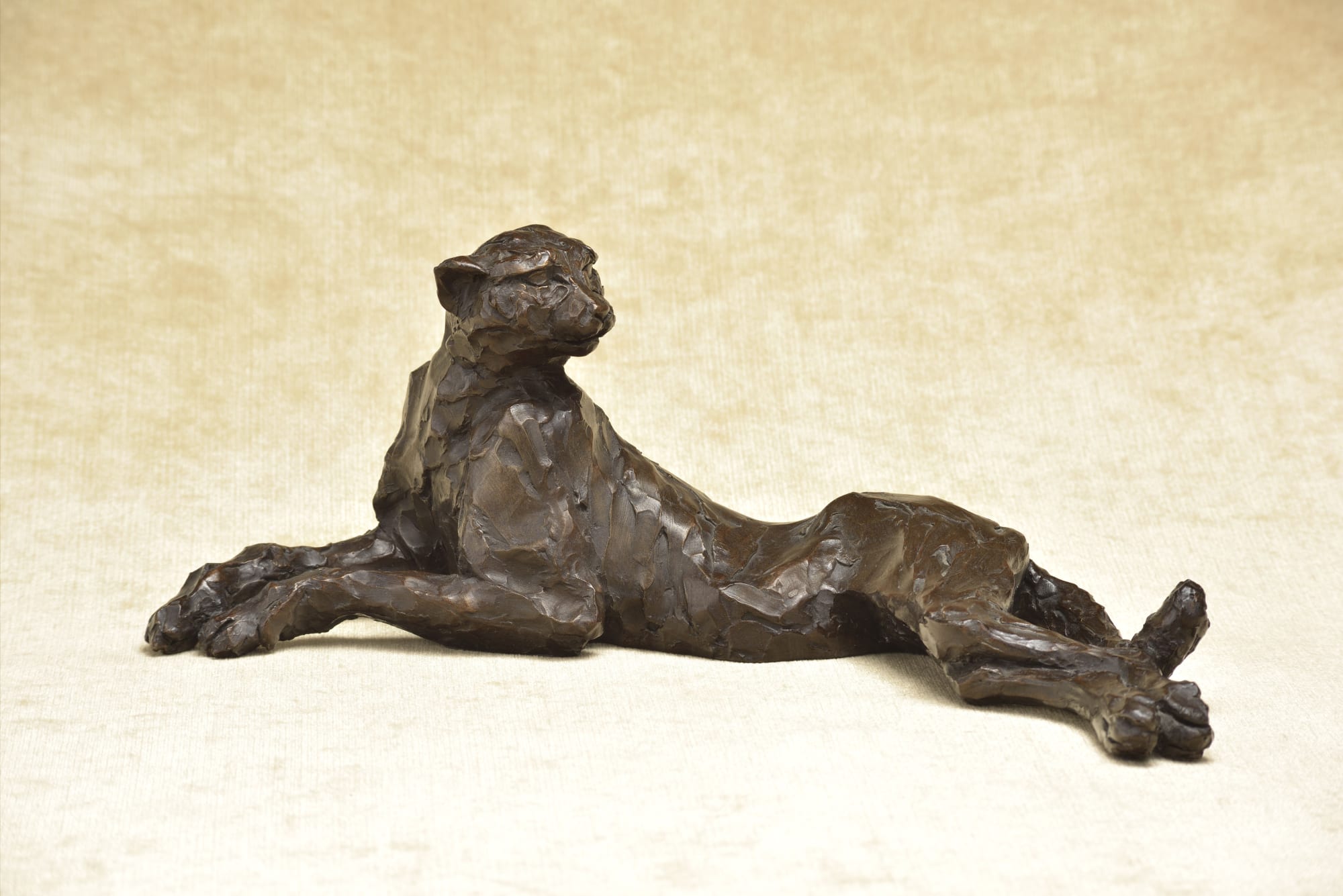 Tarangire Cheetah, Resin Bronze, £775. Awaiting the Bronze Price
