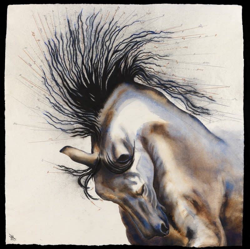 Velocity III, Watercolour, 37" x 37" , Price: £4,500