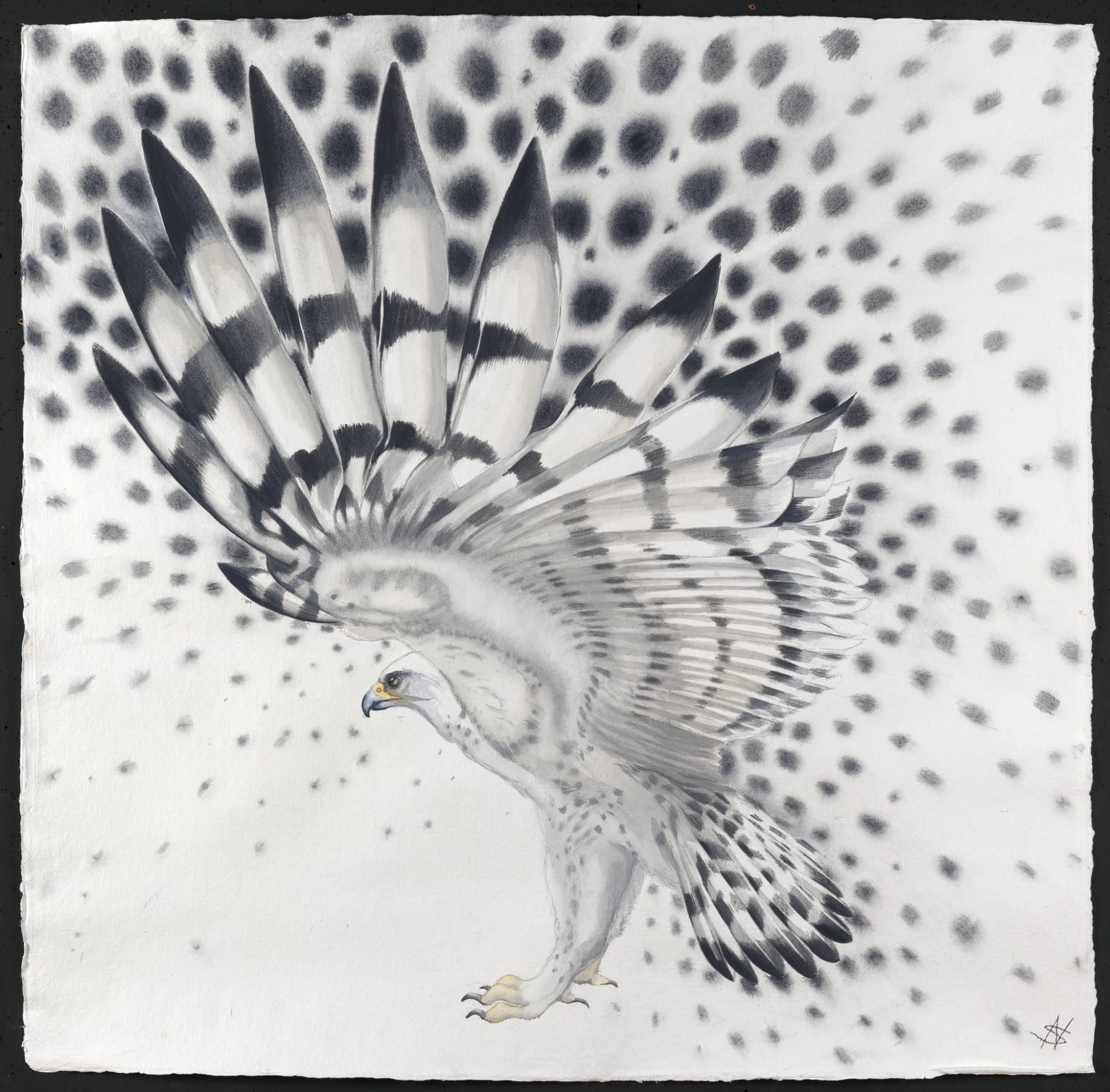 Molecule - Bird, Watercolour, 37" x 37", Price: £4,500