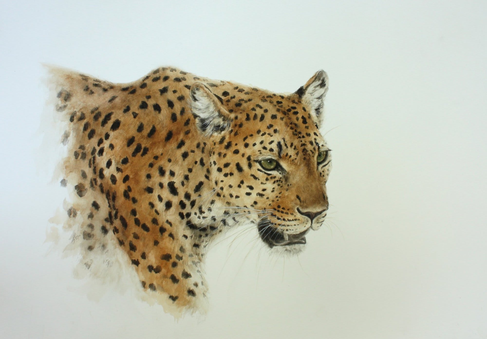 Annabel Pope, 'Unknown Territory'