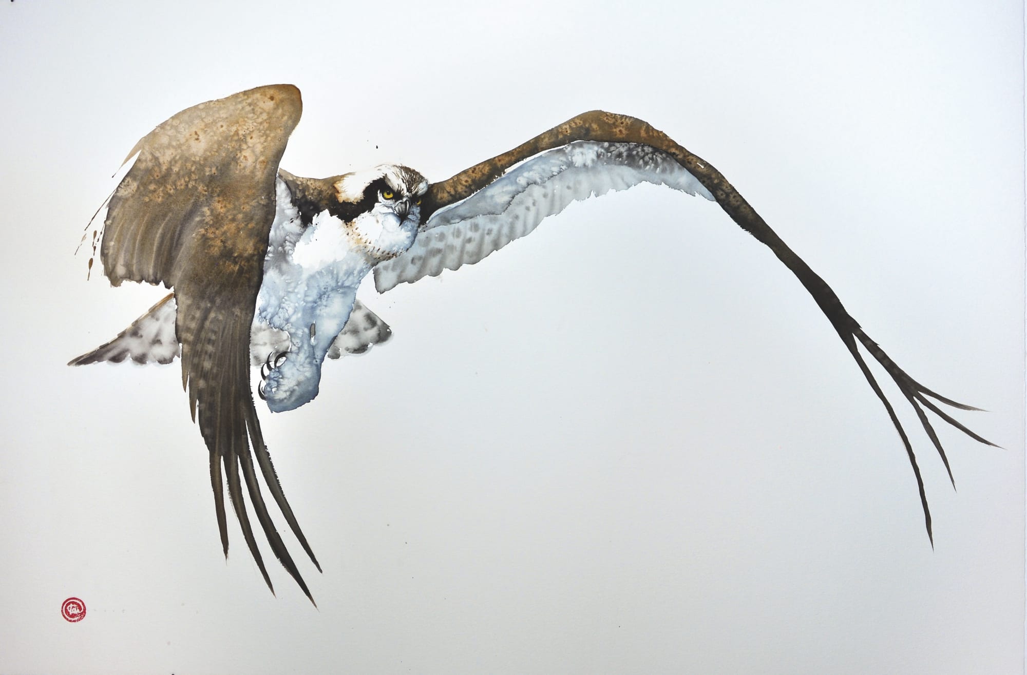 Osprey I Watercolour 39 1/2" x 59"
