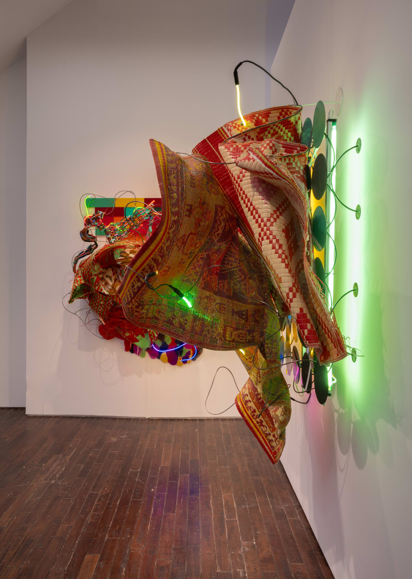 Judy Pfaff: Light Years