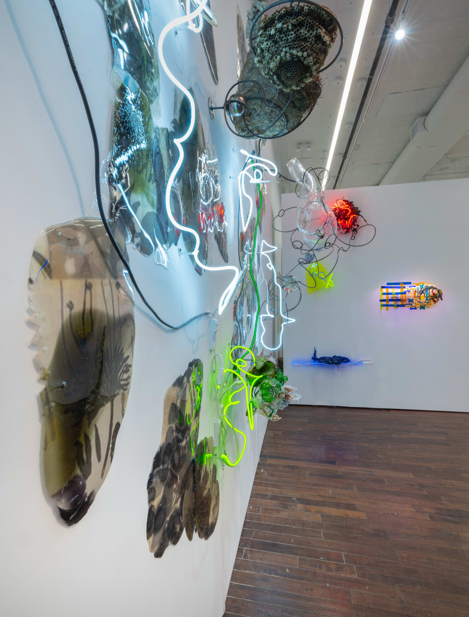 Judy Pfaff: Light Years