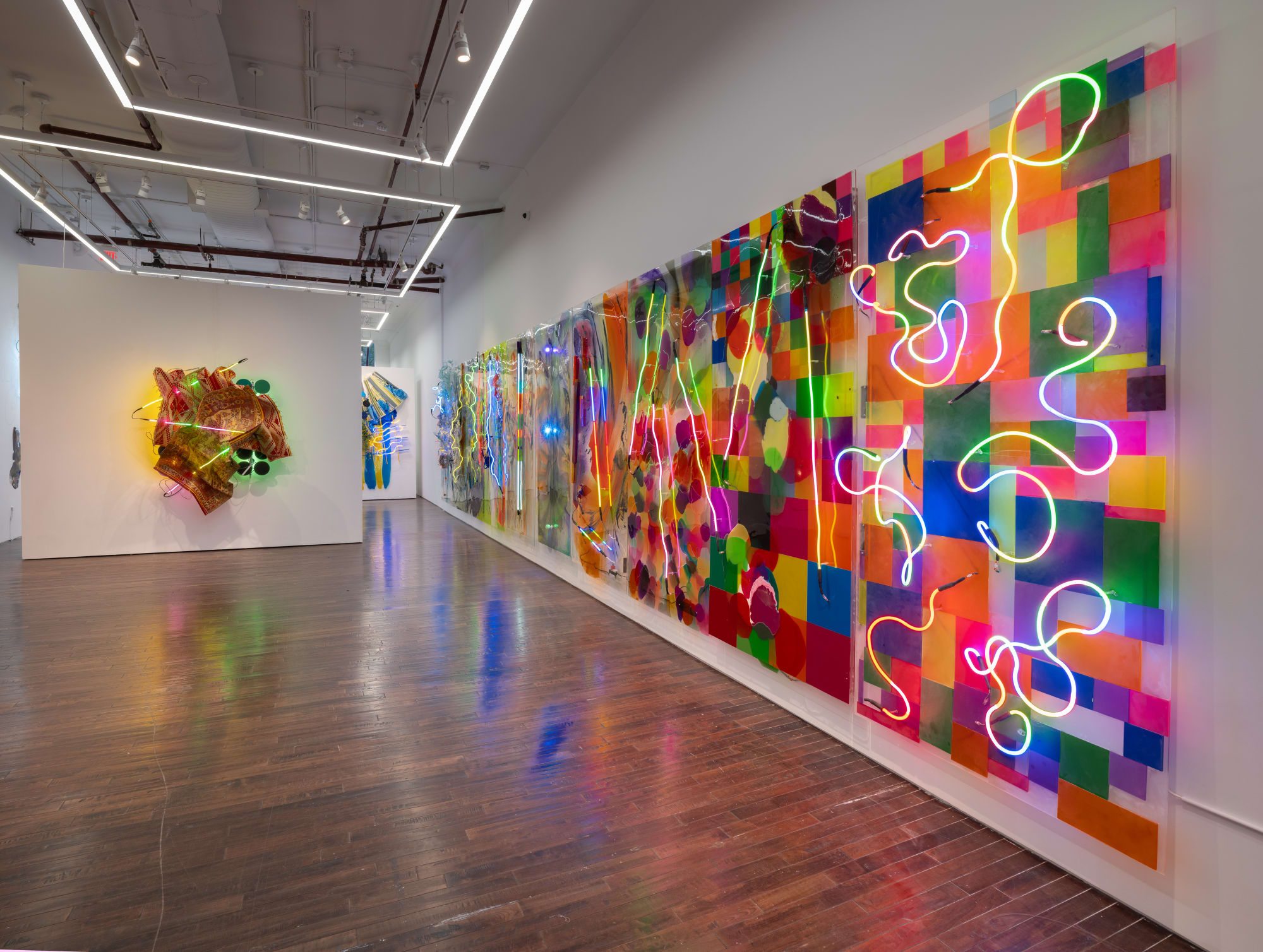 Judy Pfaff: Light Years