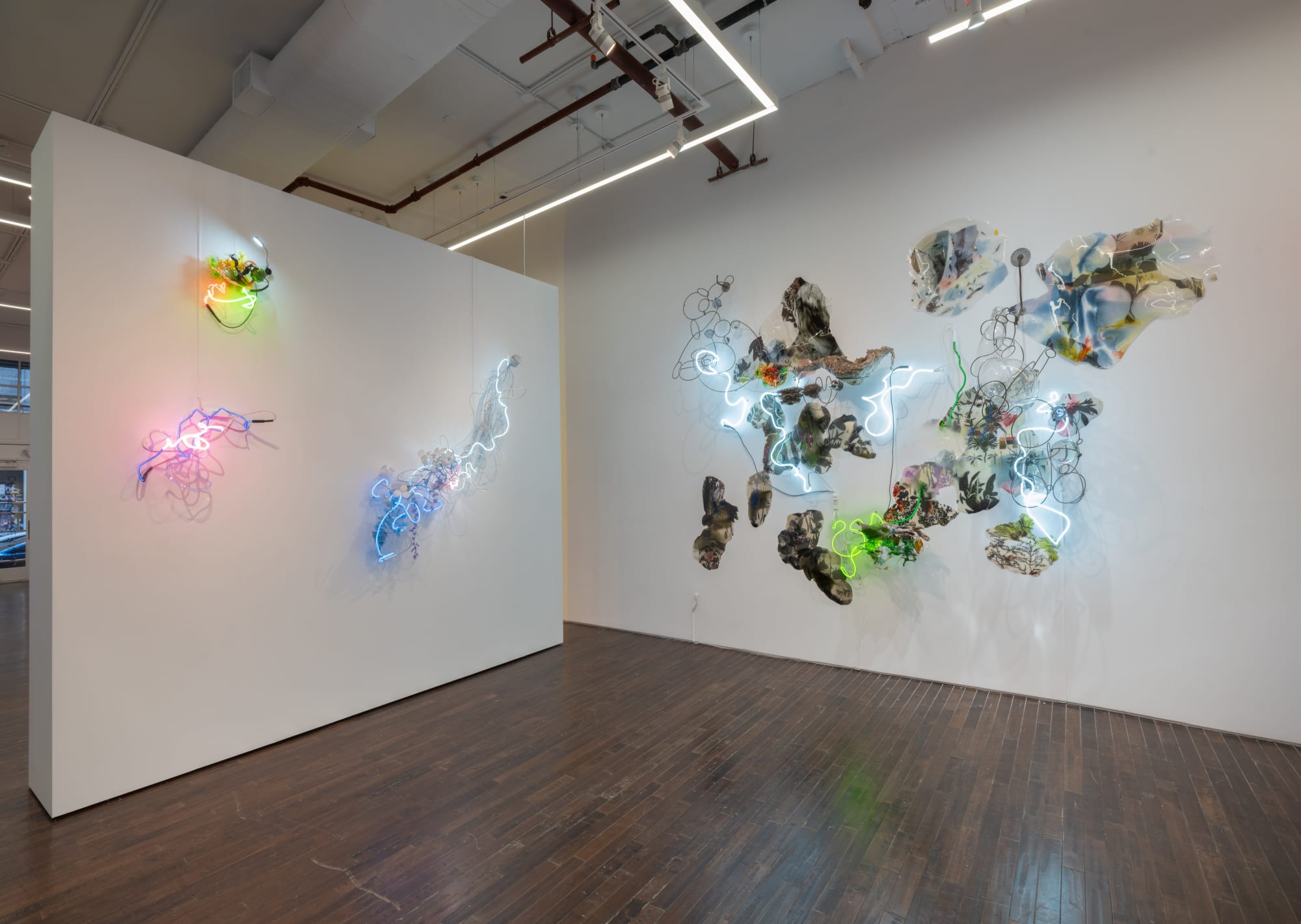 Judy Pfaff: Light Years