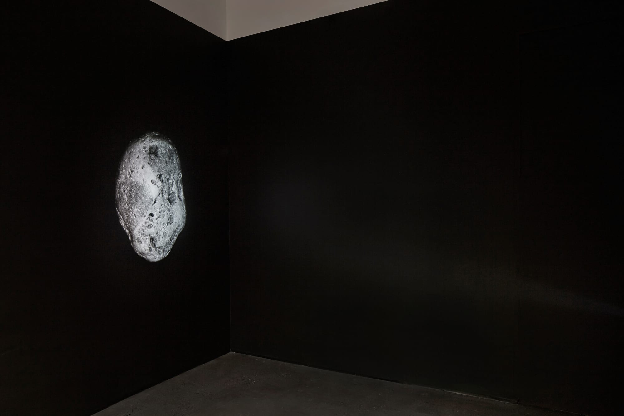 peter campus: circa 1987