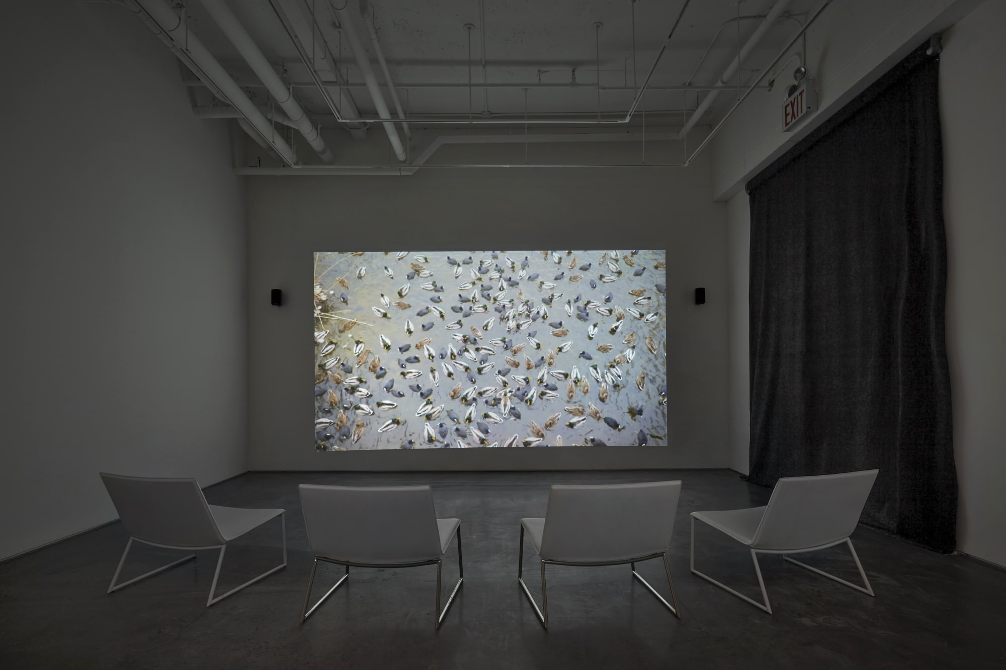 Lina López and François Bucher: Wormhole