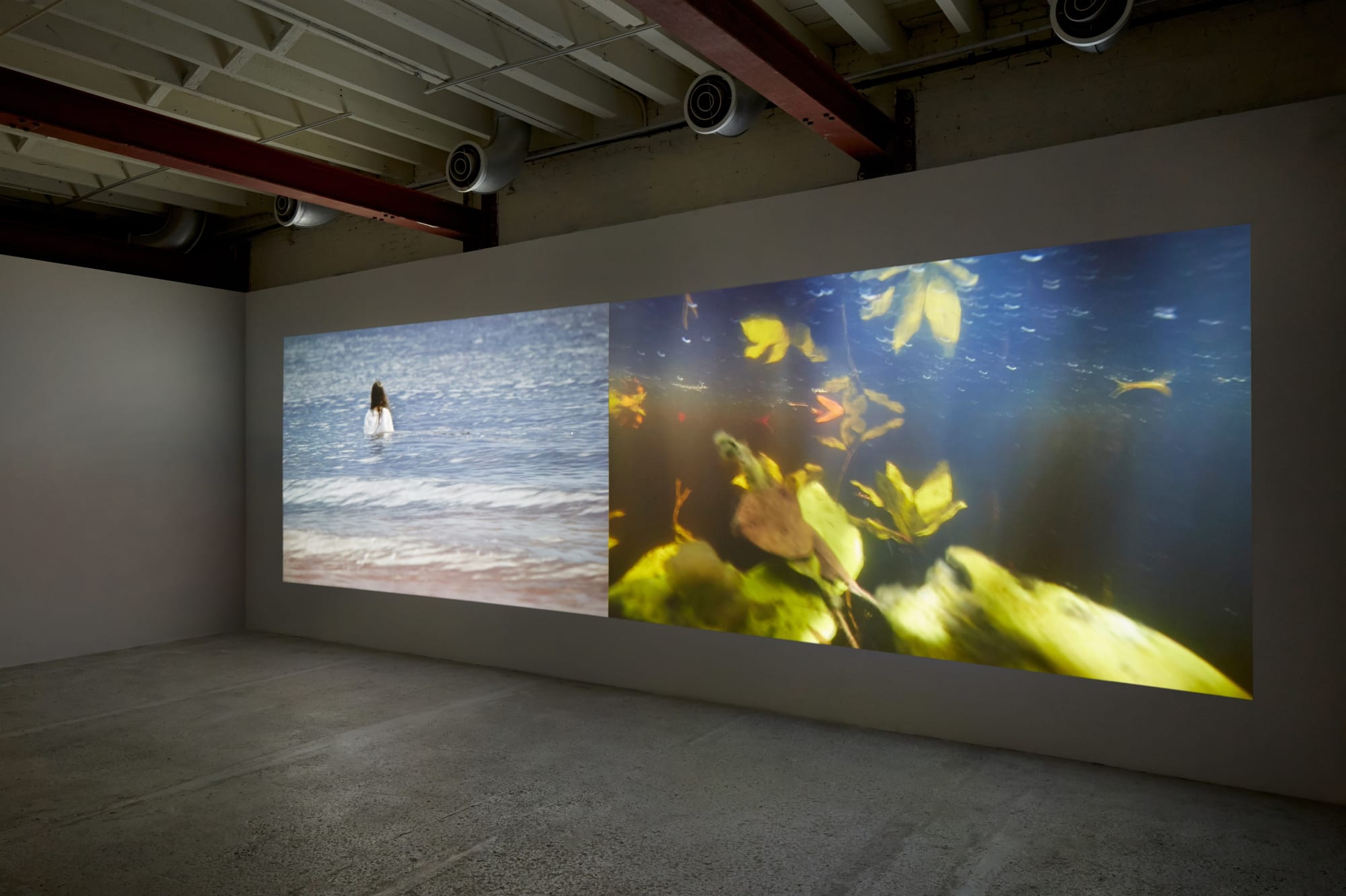 Janaina Tschäpe: The Ghost in Between