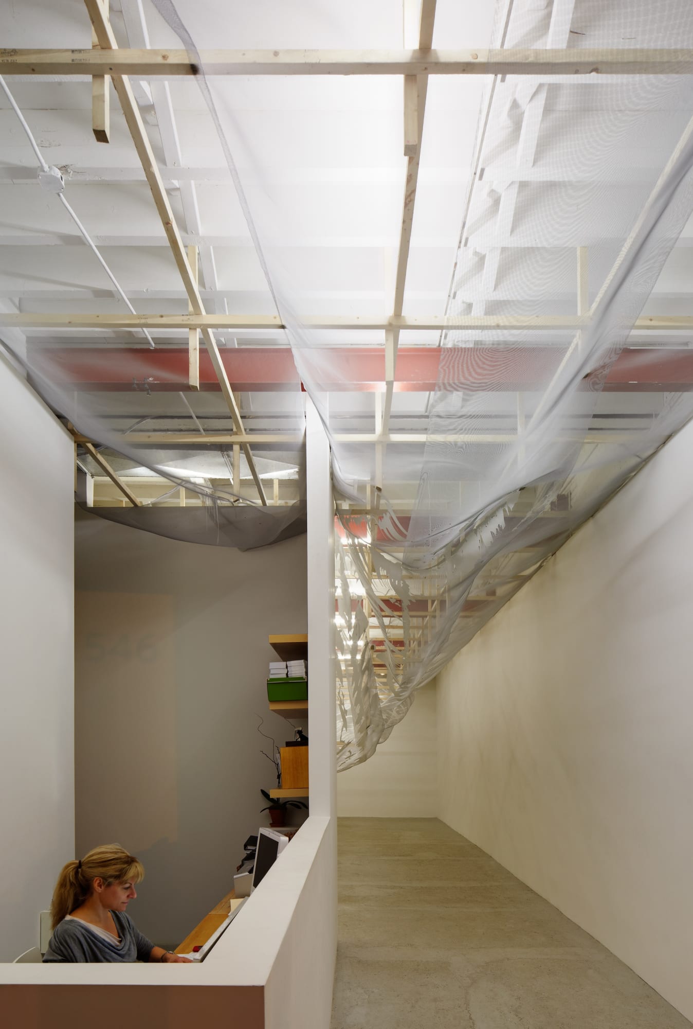 Alois Kronschlaeger: Allotropisms