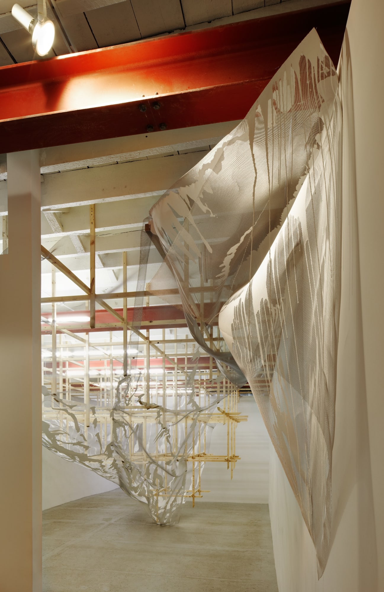 Alois Kronschlaeger: Allotropisms