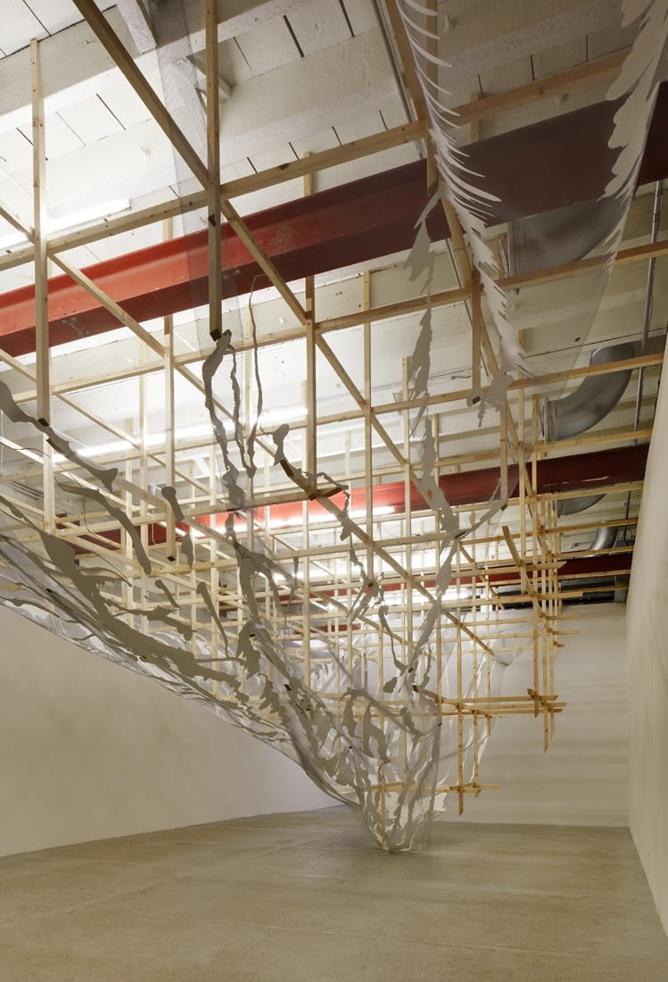 Alois Kronschlaeger: Allotropisms