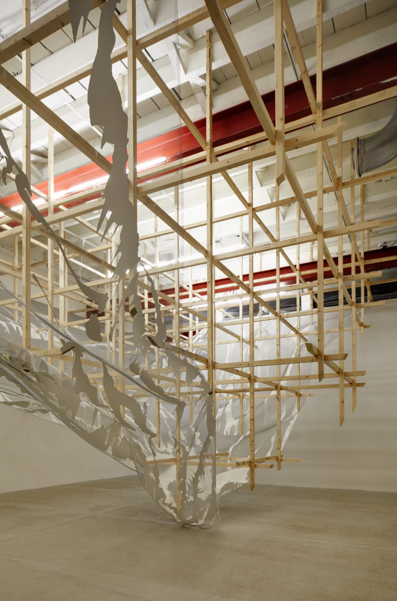 Alois Kronschlaeger: Allotropisms