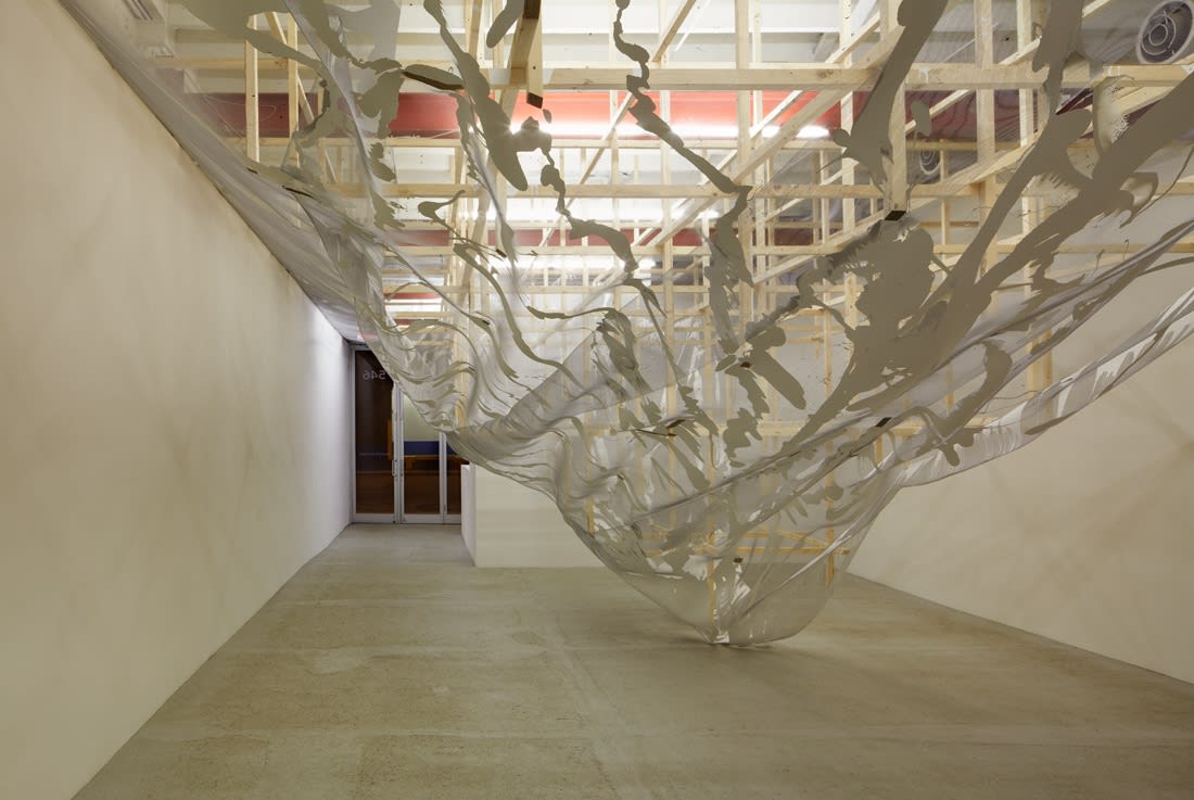 Alois Kronschlaeger: Allotropisms