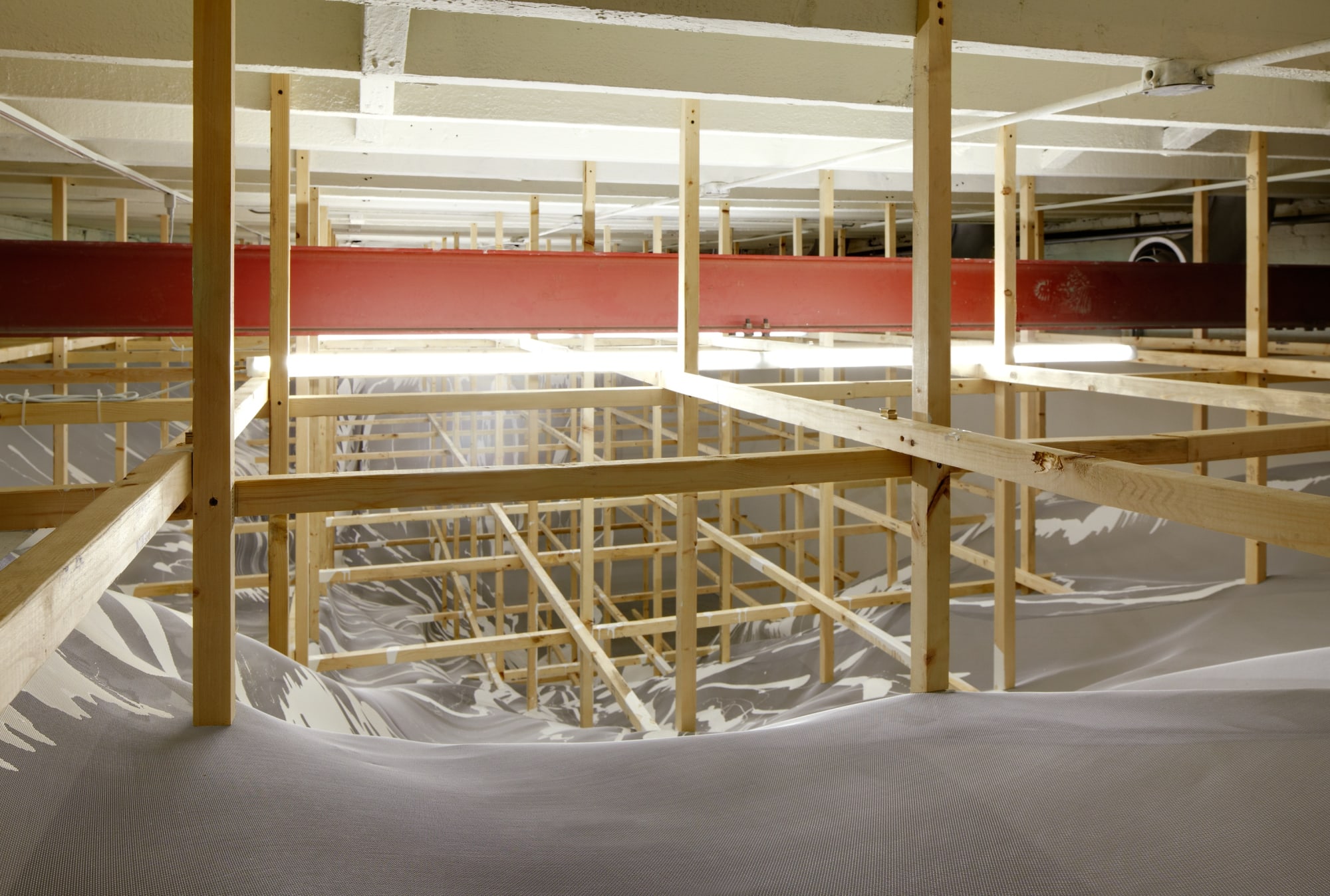 Alois Kronschlaeger: Allotropisms