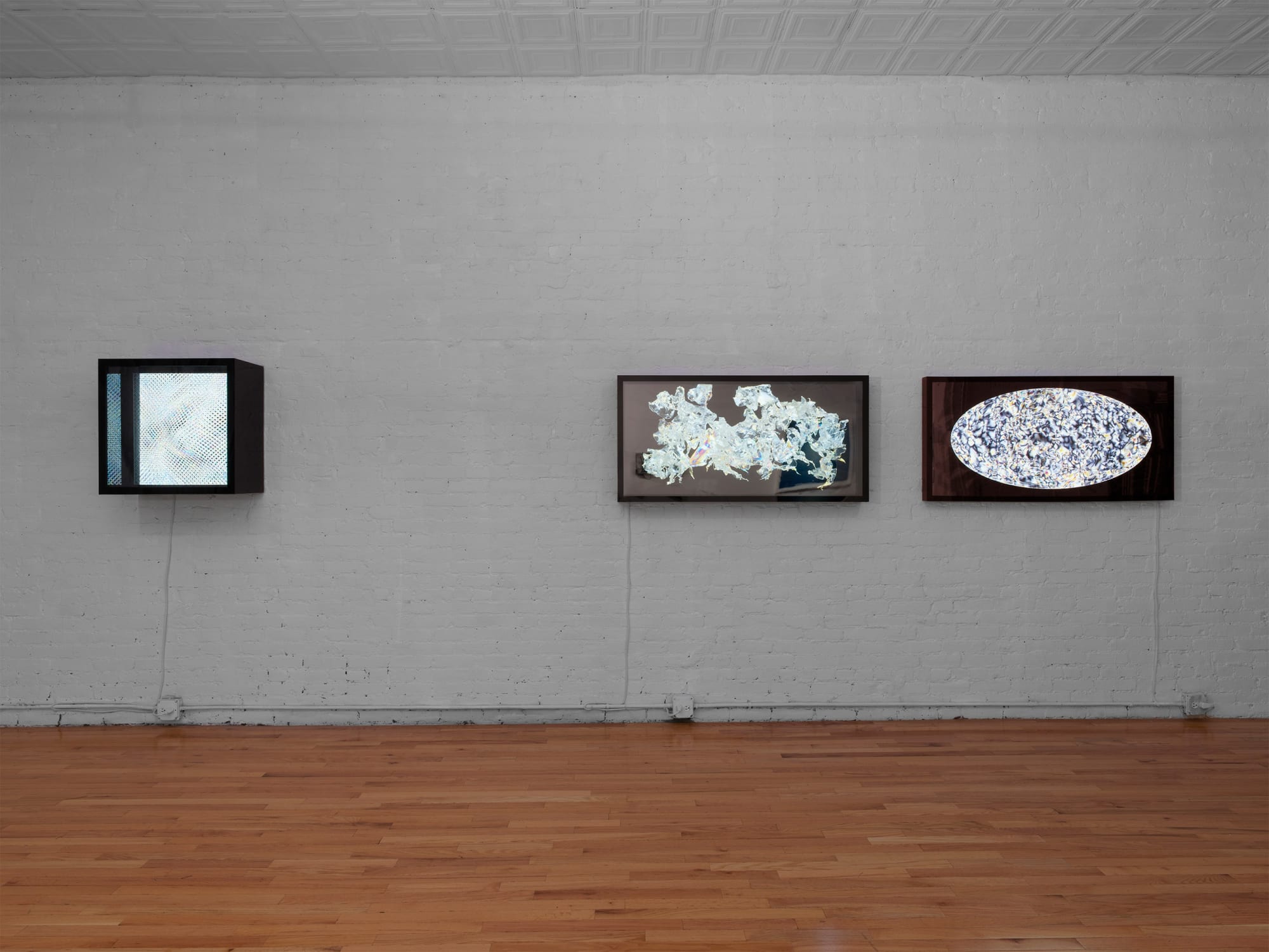 François Bucher: You Are (It Is) A Distorted Projection from a Single Light