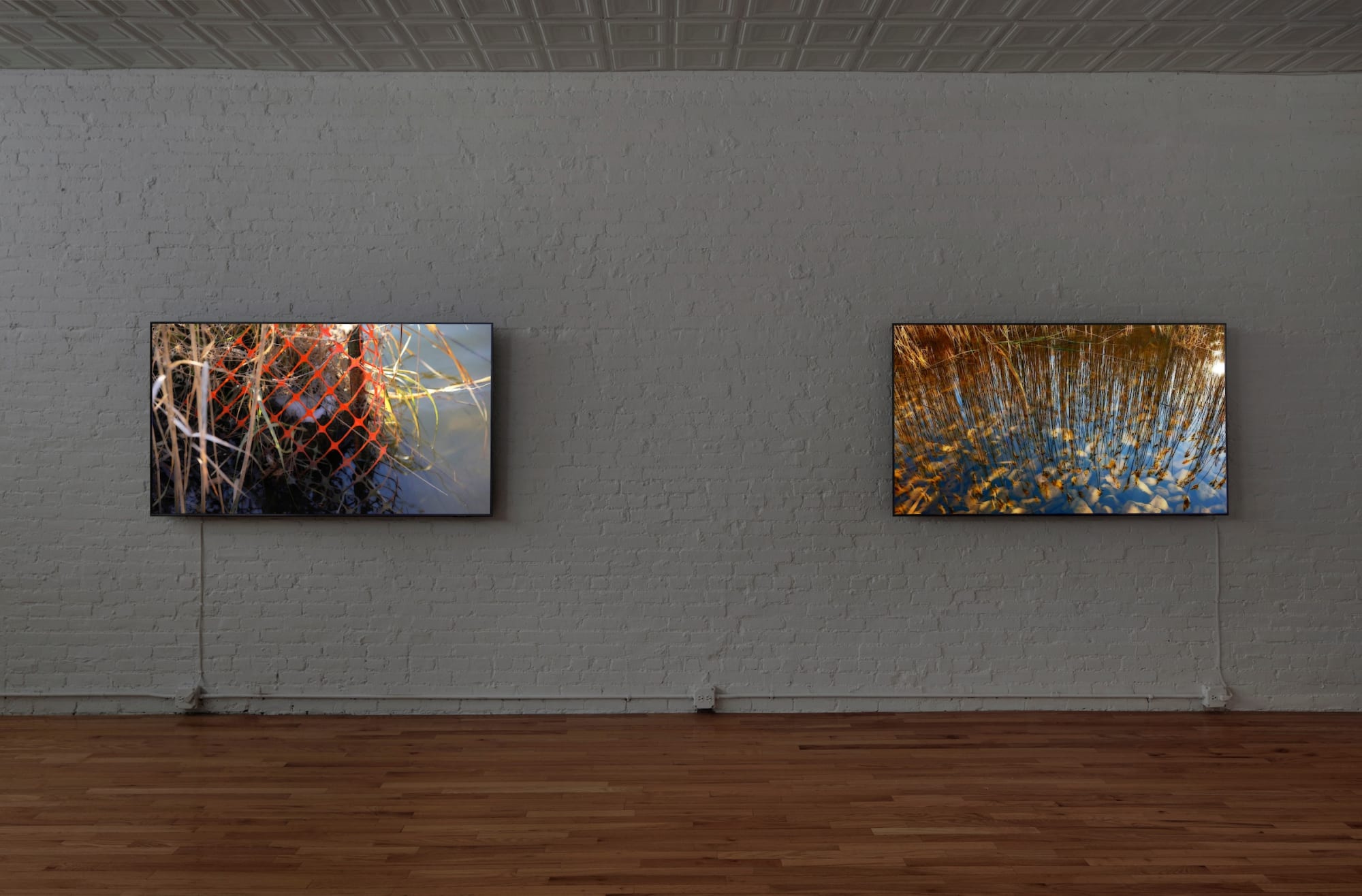 peter campus: meditations