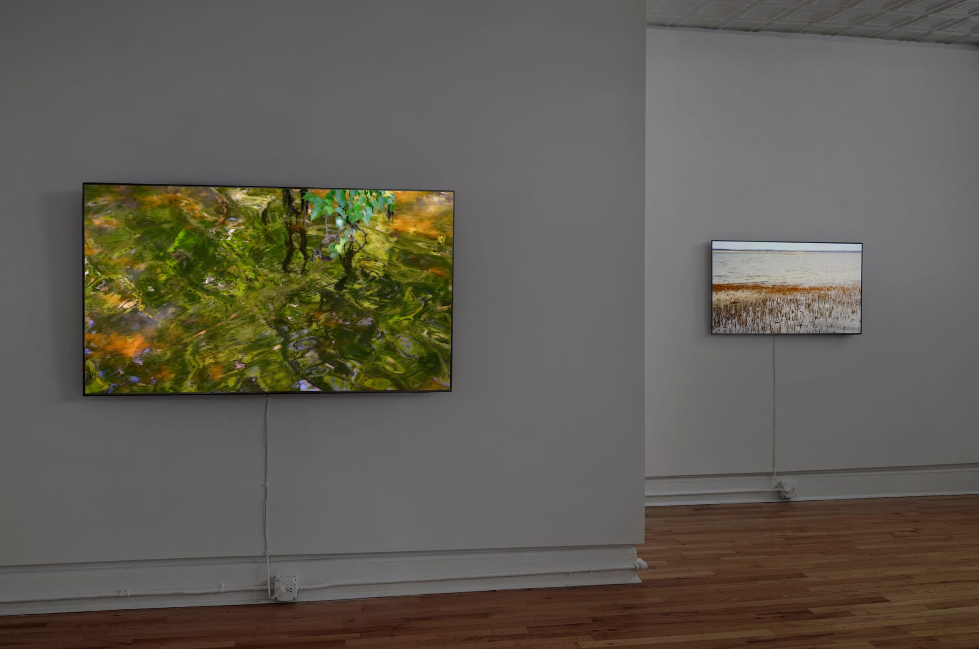 peter campus: meditations