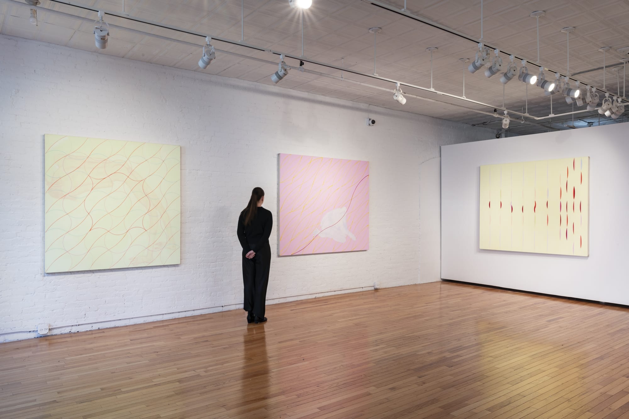 Audra Skuodas: Vibrational Vulnerability