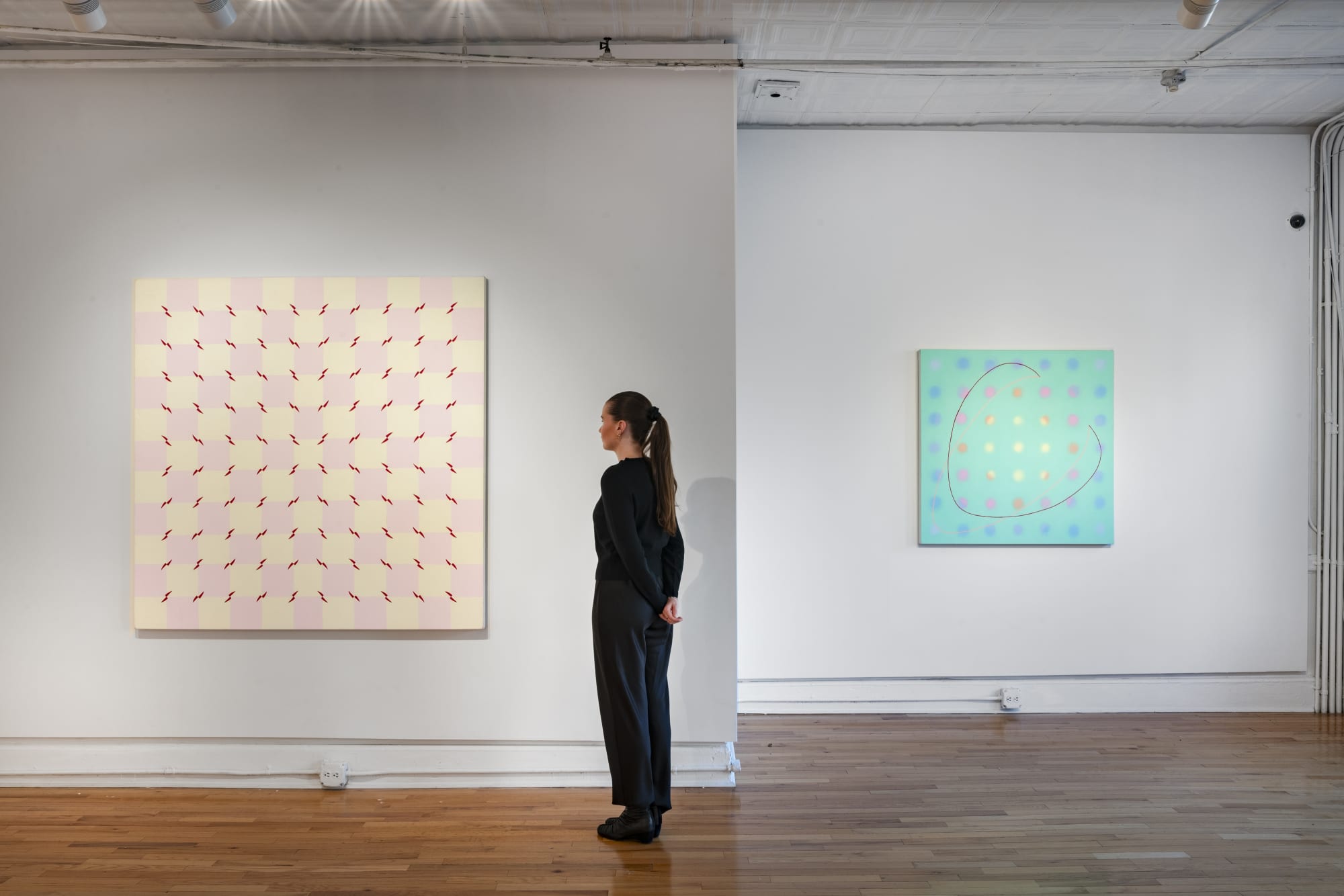 Audra Skuodas: Vibrational Vulnerability