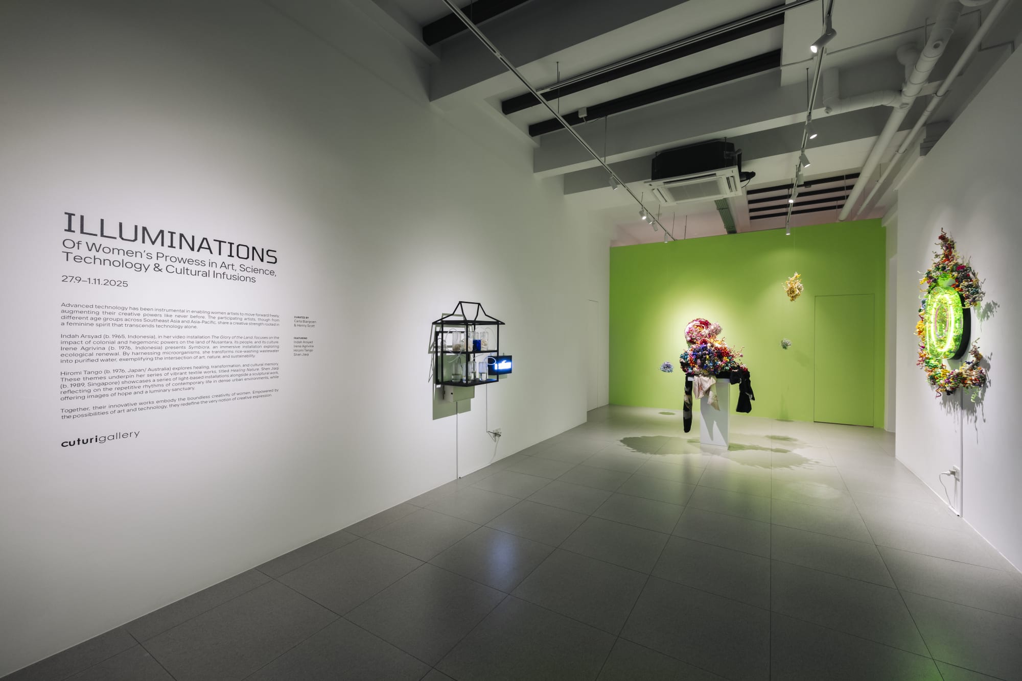 ILLUMINATIONS Of Women’s Prowess in Art, Science, Technology and Cultural Infusions