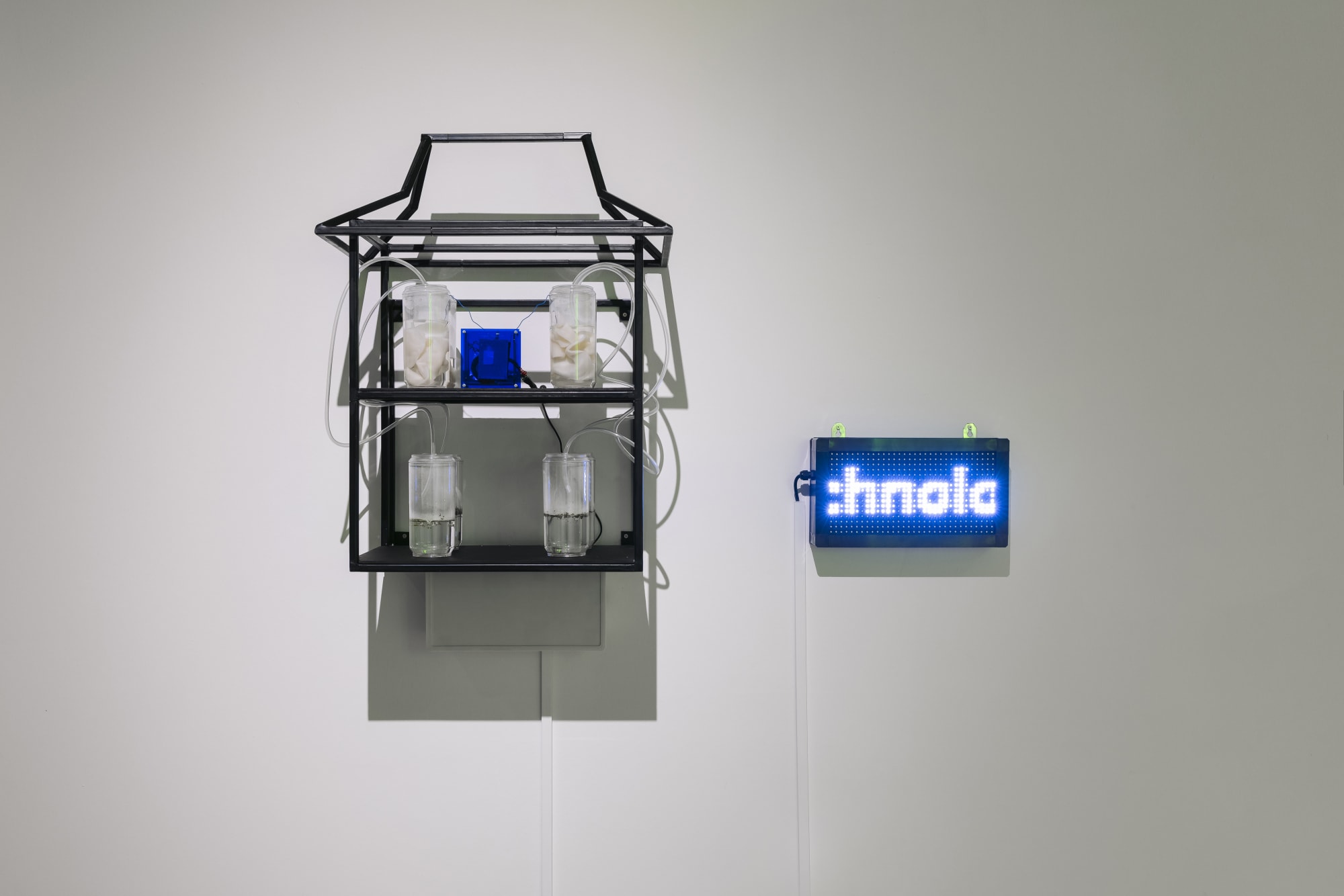 ILLUMINATIONS Of Women’s Prowess in Art, Science, Technology and Cultural Infusions