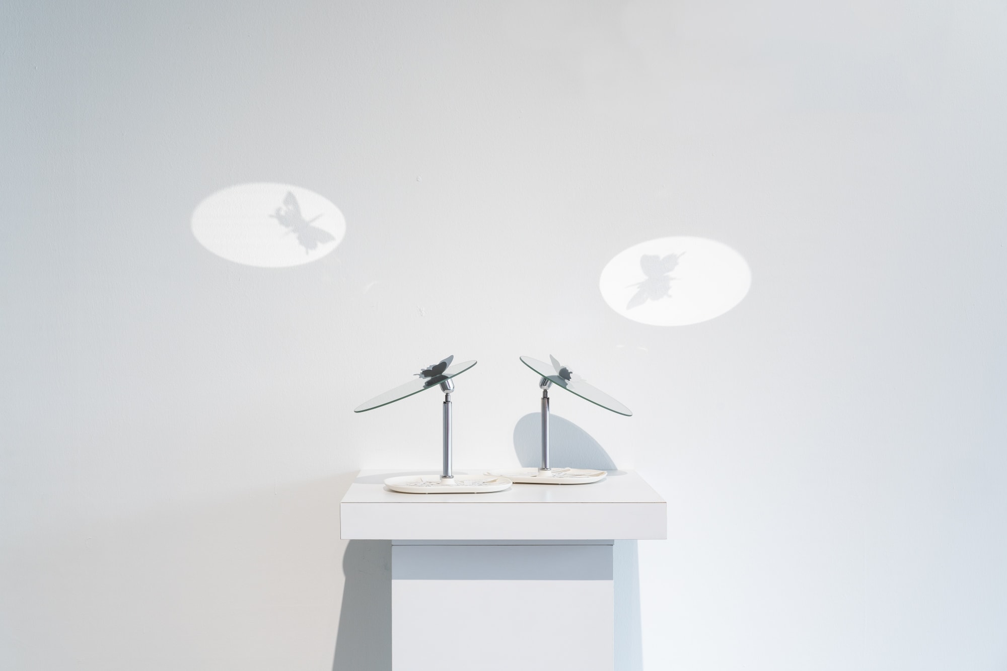 From These Ruins, We Rise and Fall