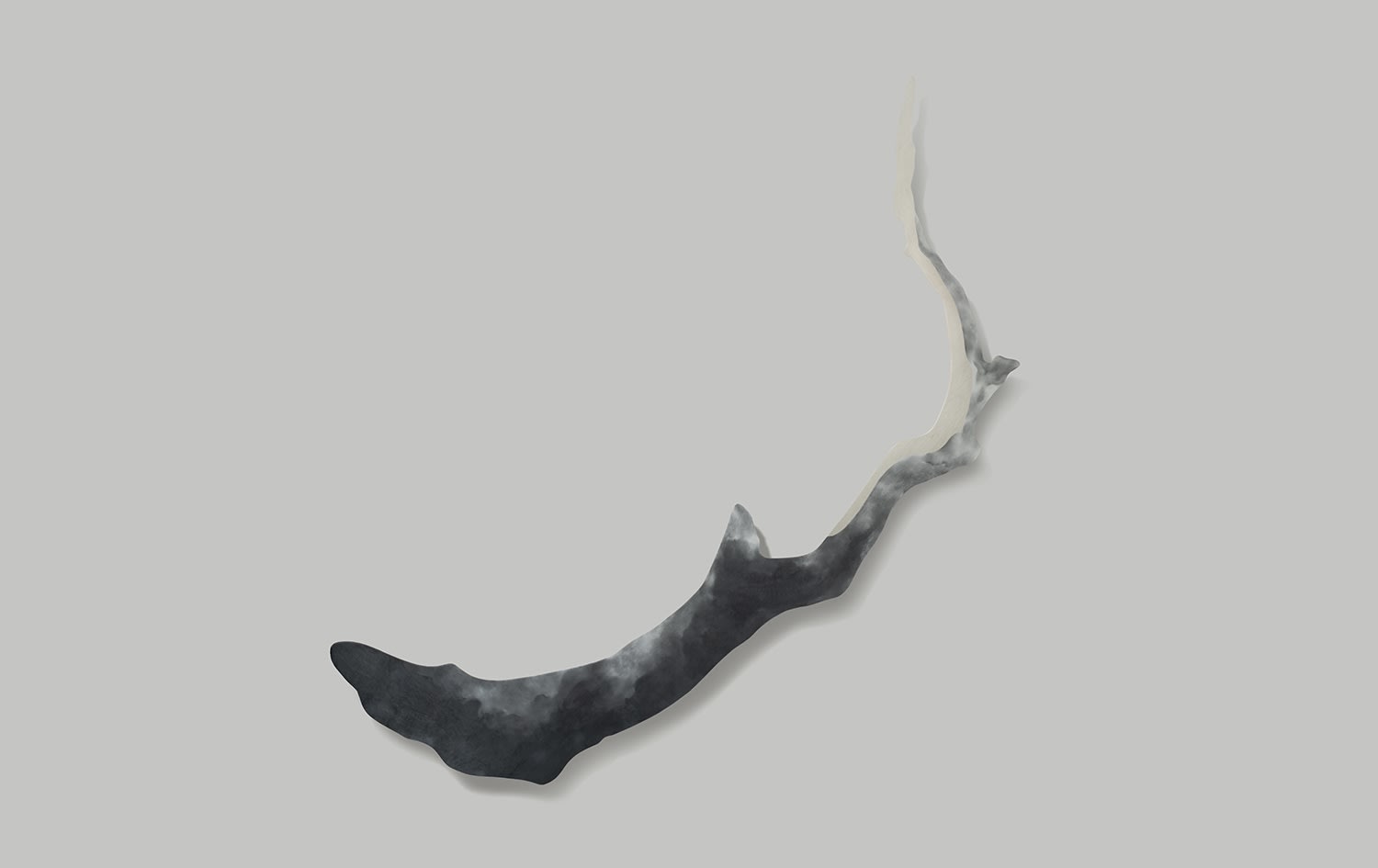 Aeropalmics, Turn of the Sun 27, 2020