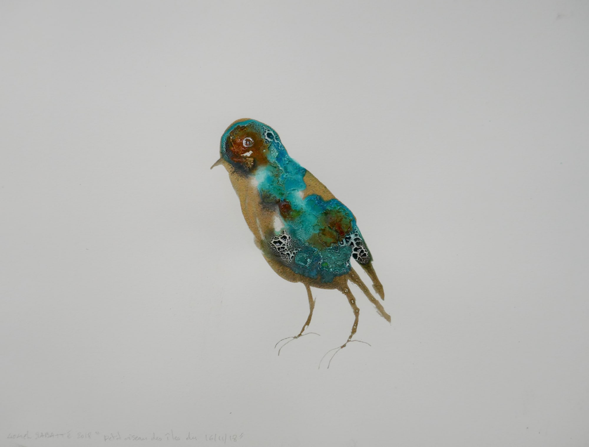 Lionel Sabatté, Petite Oiseau des Îles du 16 novembre, 2018