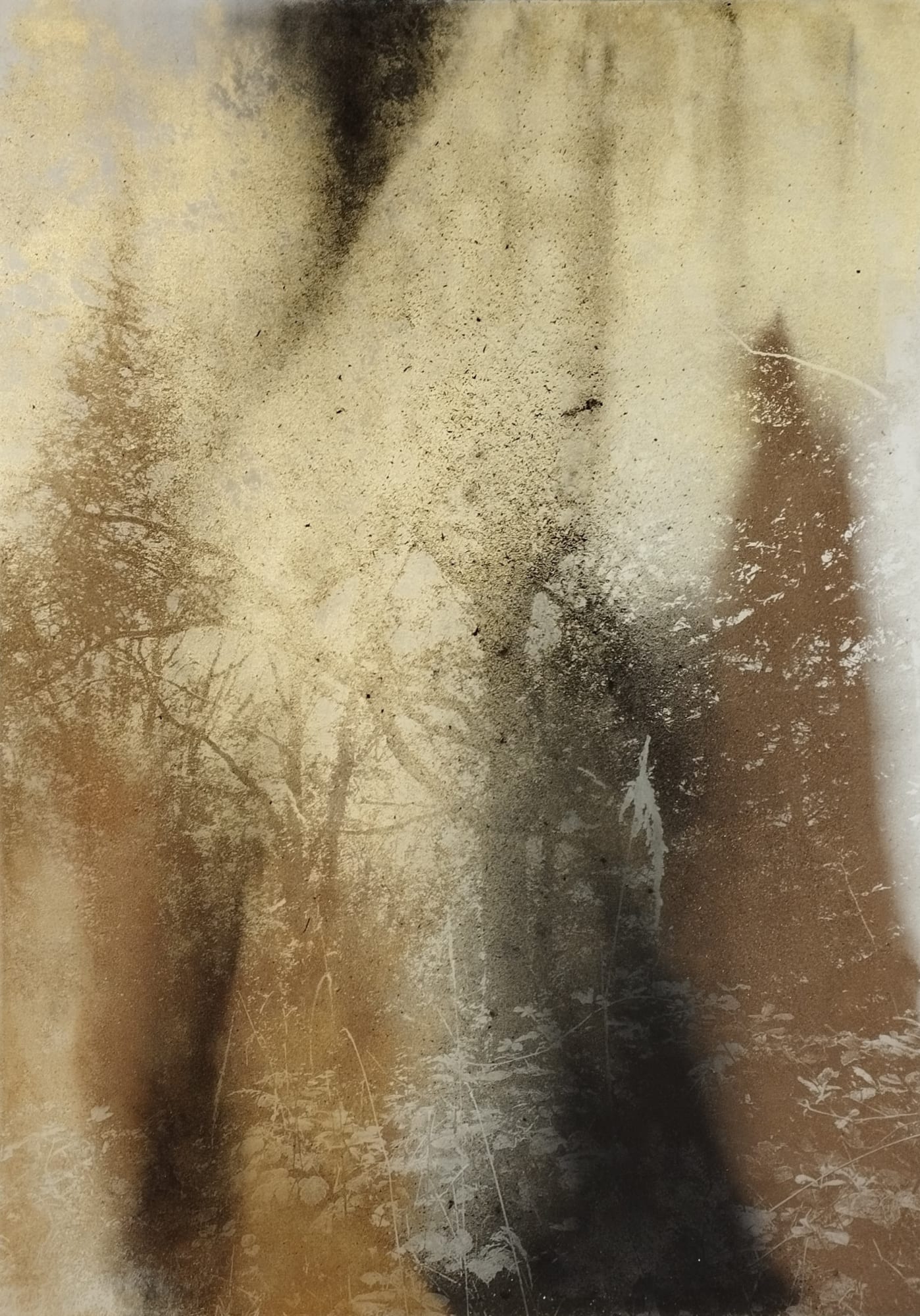 Lionel Sabatté, Forêt de Chambord du 01-06-2024, 2024