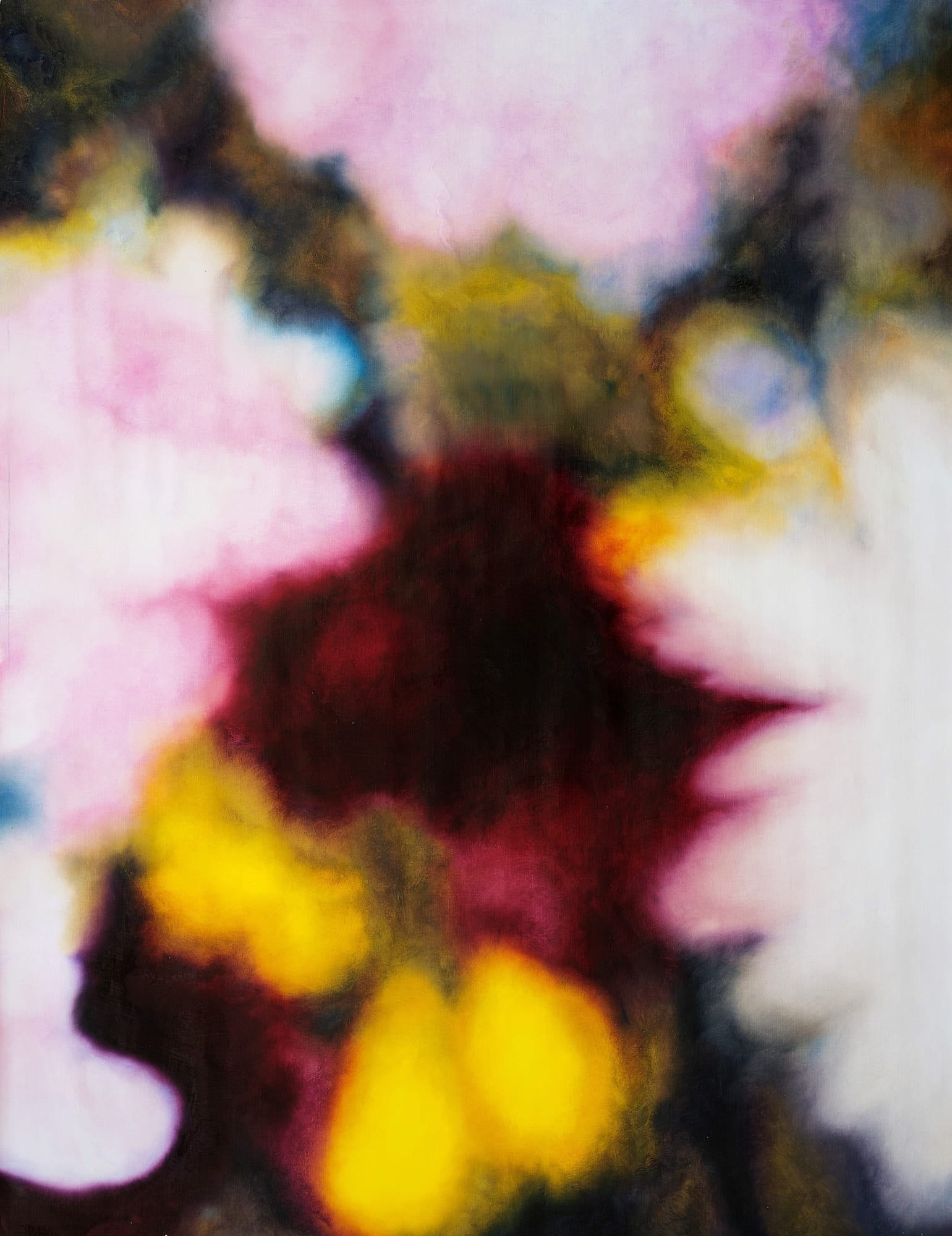 Gaël Davrinche, Nebula 33, 2019