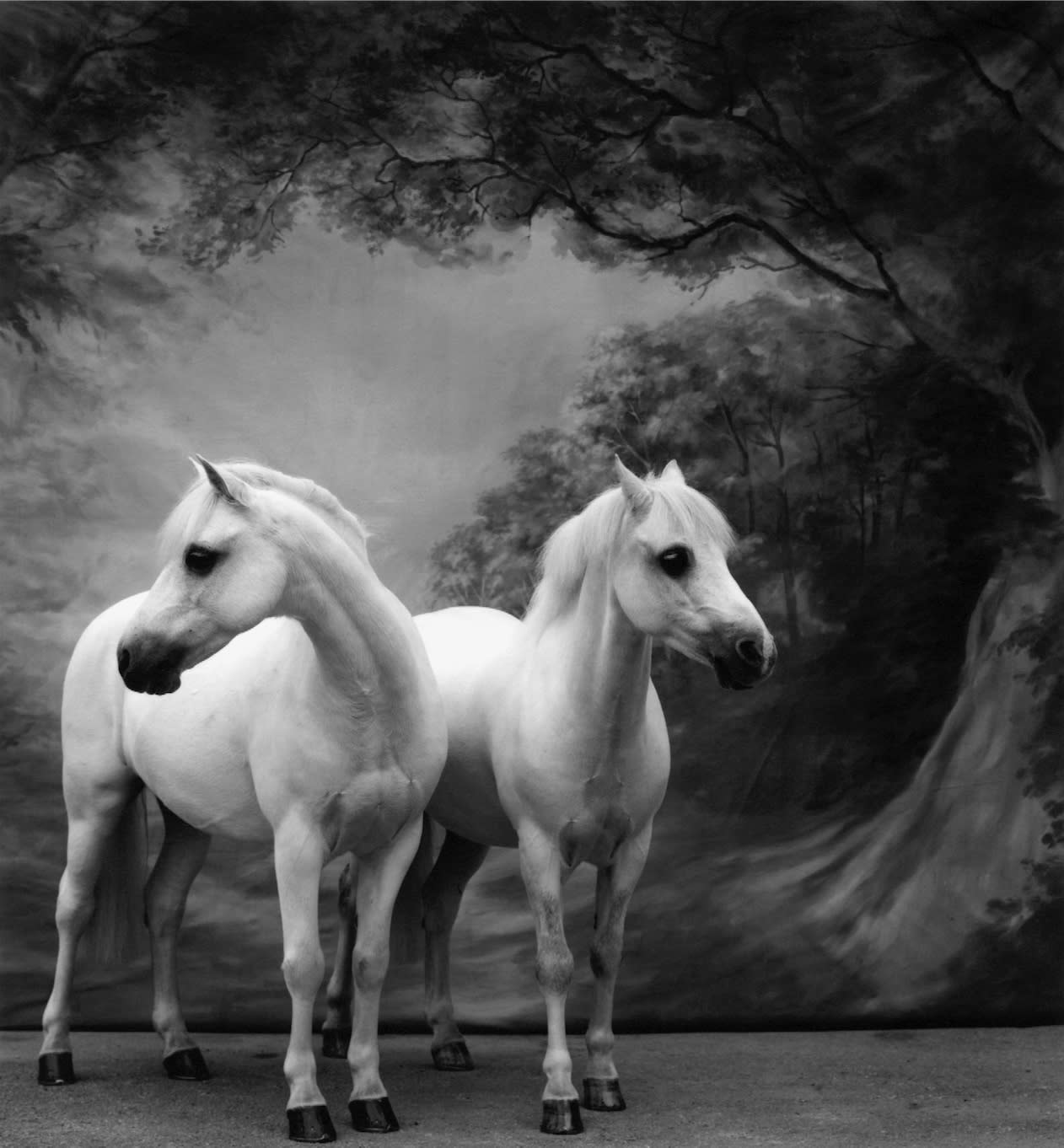 Sheila Rock, Horse No. 57, 2000