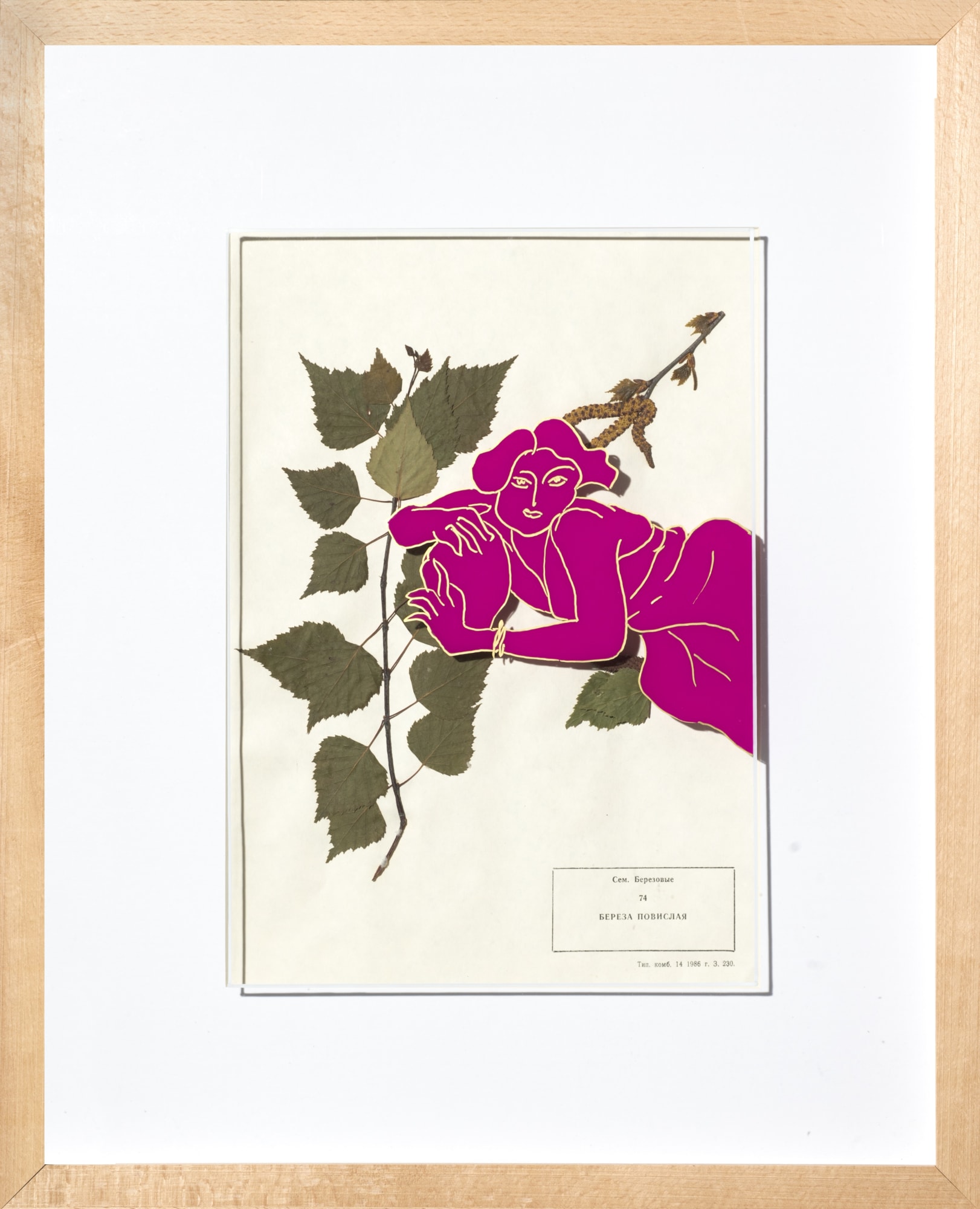 Паруйр Давтян | Paruire Davtyan Матисс, из проекта «Элементарий» | Matisse, 'Elementary' project