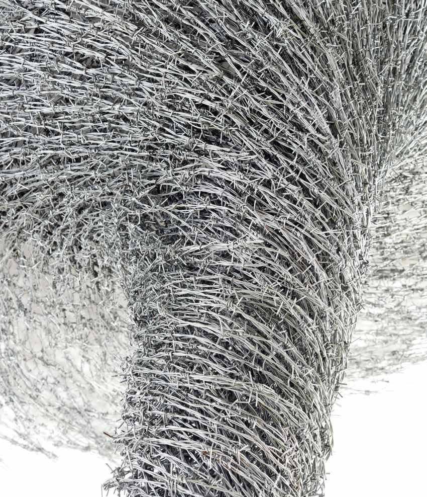 Tornado (detail), 2015 Barbed wire 118 x 83 x 83 in