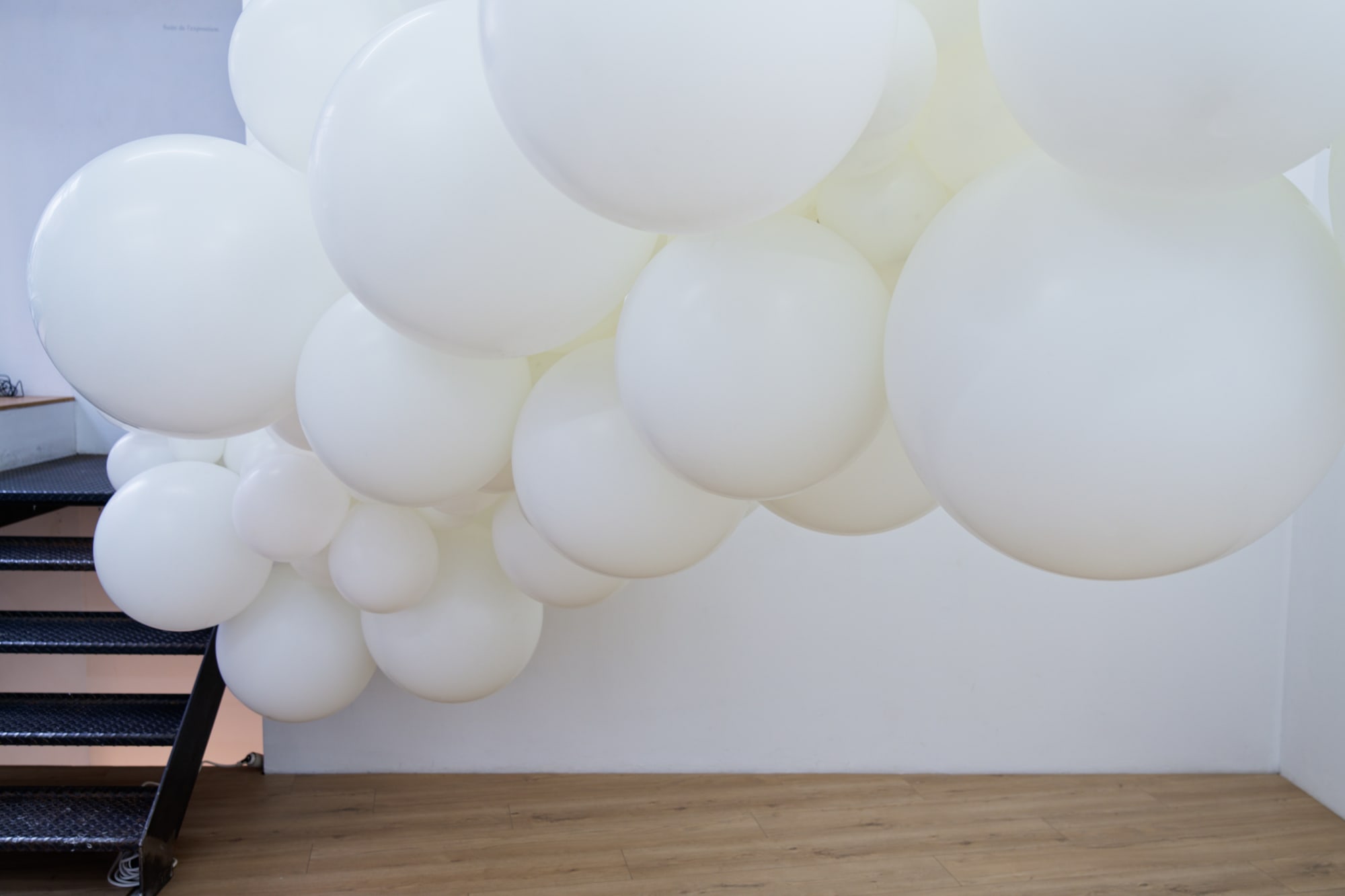 Charles Pétillon I Solo show