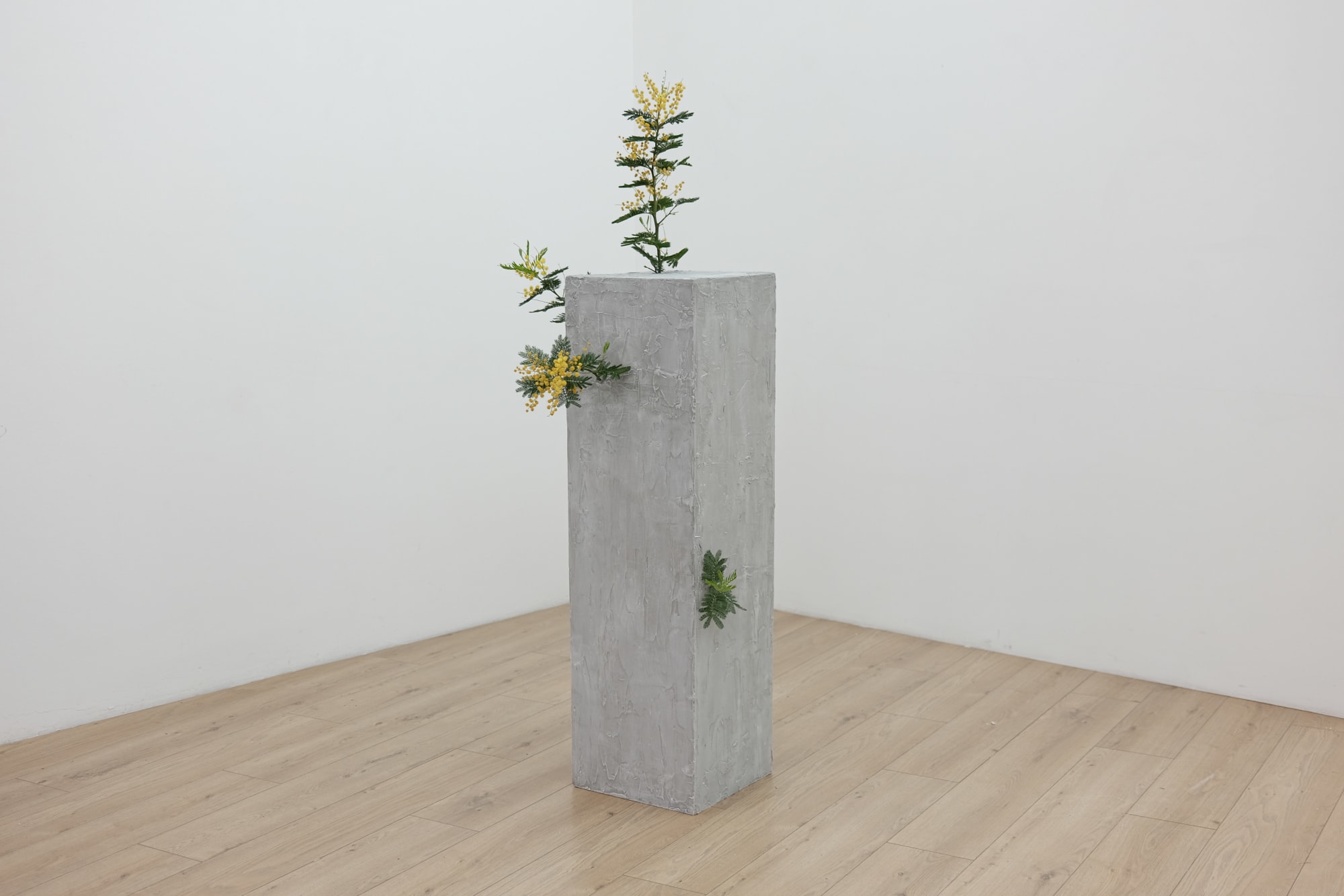 Saman and Sasan Oskouei (aka Icy & Sot)