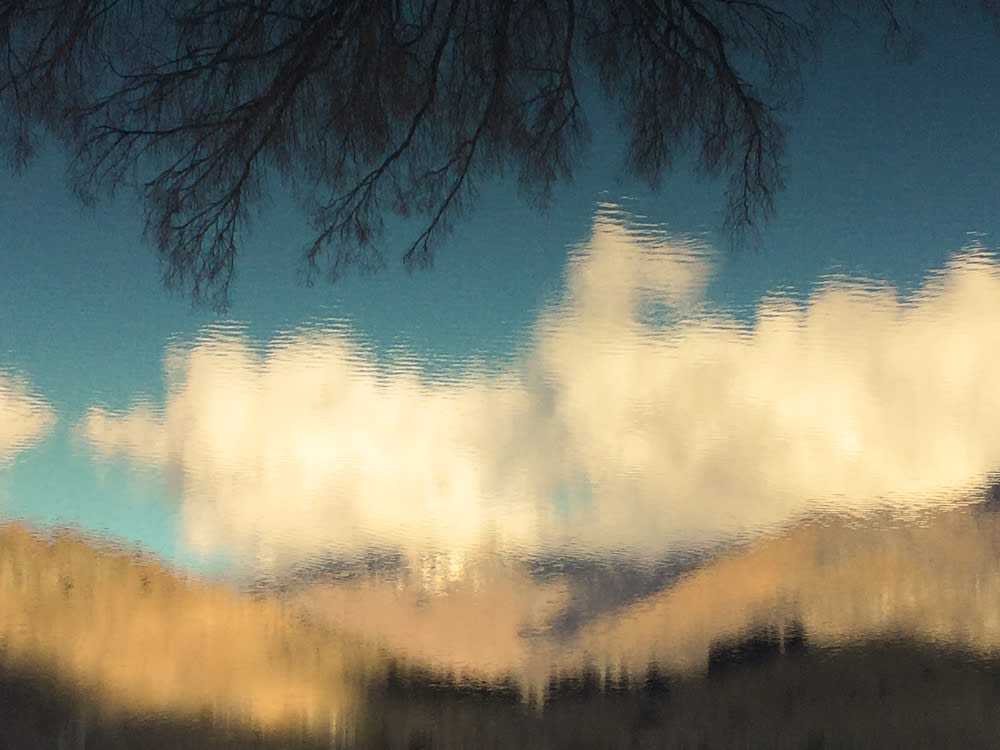 "Reality is often very different than it seems. The Earth appears to be flat but is in fact spherical. The sun seems to revolve in the sky when it is really we who are spinning. Neither is the structure of time what it seems to be: it is different from this uniform, universal flowing." Carlo Rovelli, 'The Order of Time'