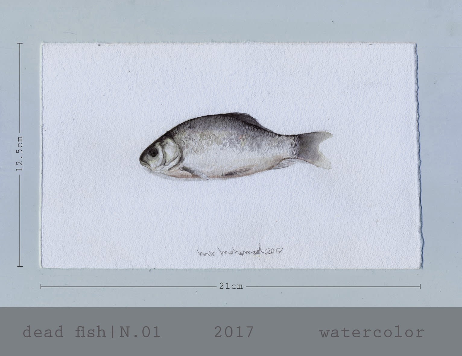 Mirmohamad Fatahi | "An-denken (Remembrance)"